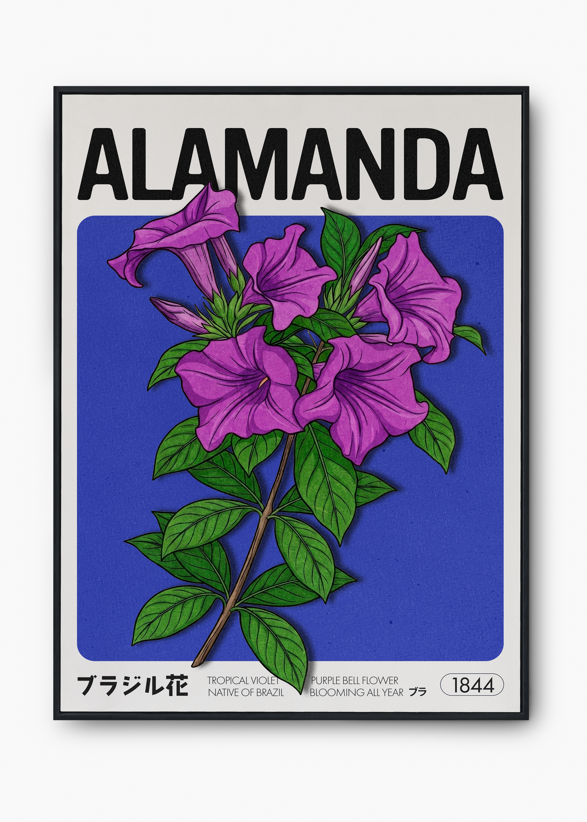 Quadro Alamanda em moldura clássica branca pendurado na parede, exemplo de como pendurar um quadro solo