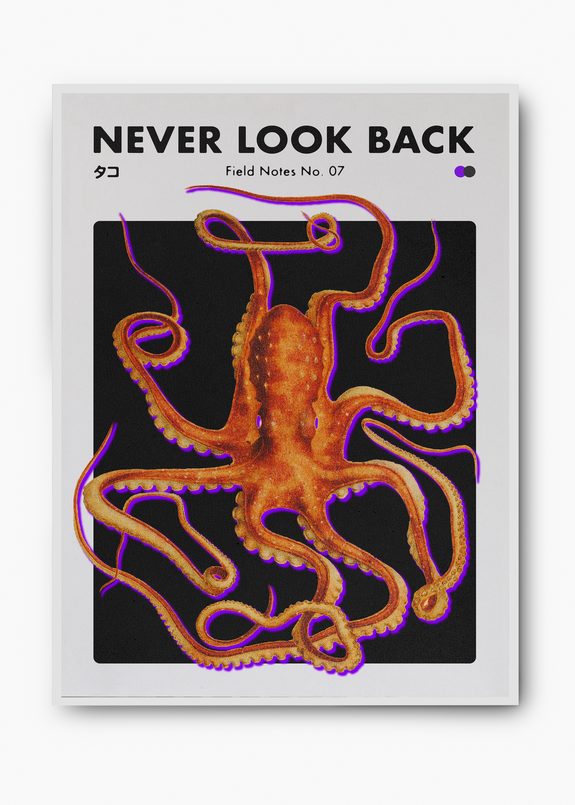 Quadro Never Look Back v2 - 2