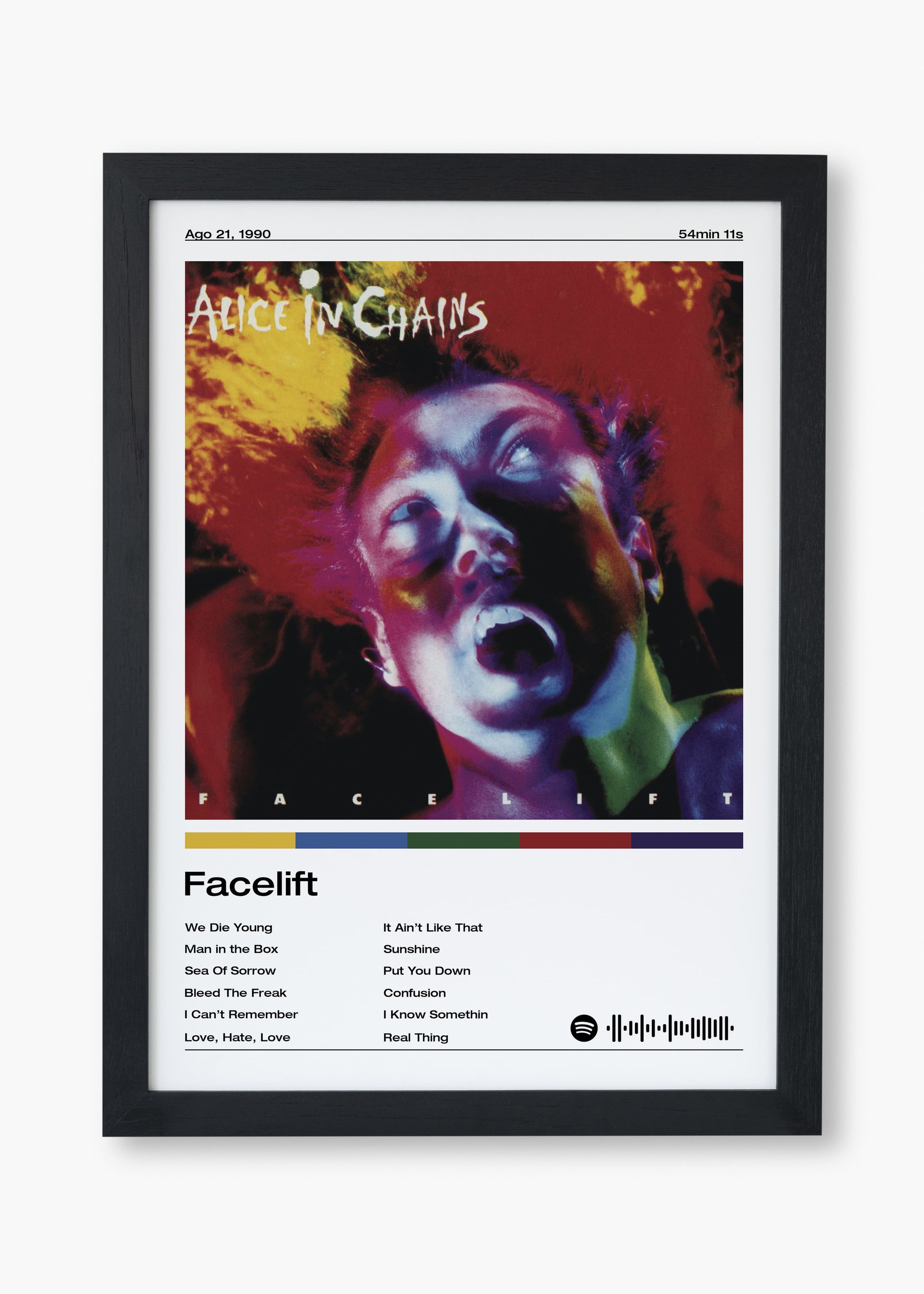 Quadro Alice in Chains Facelift