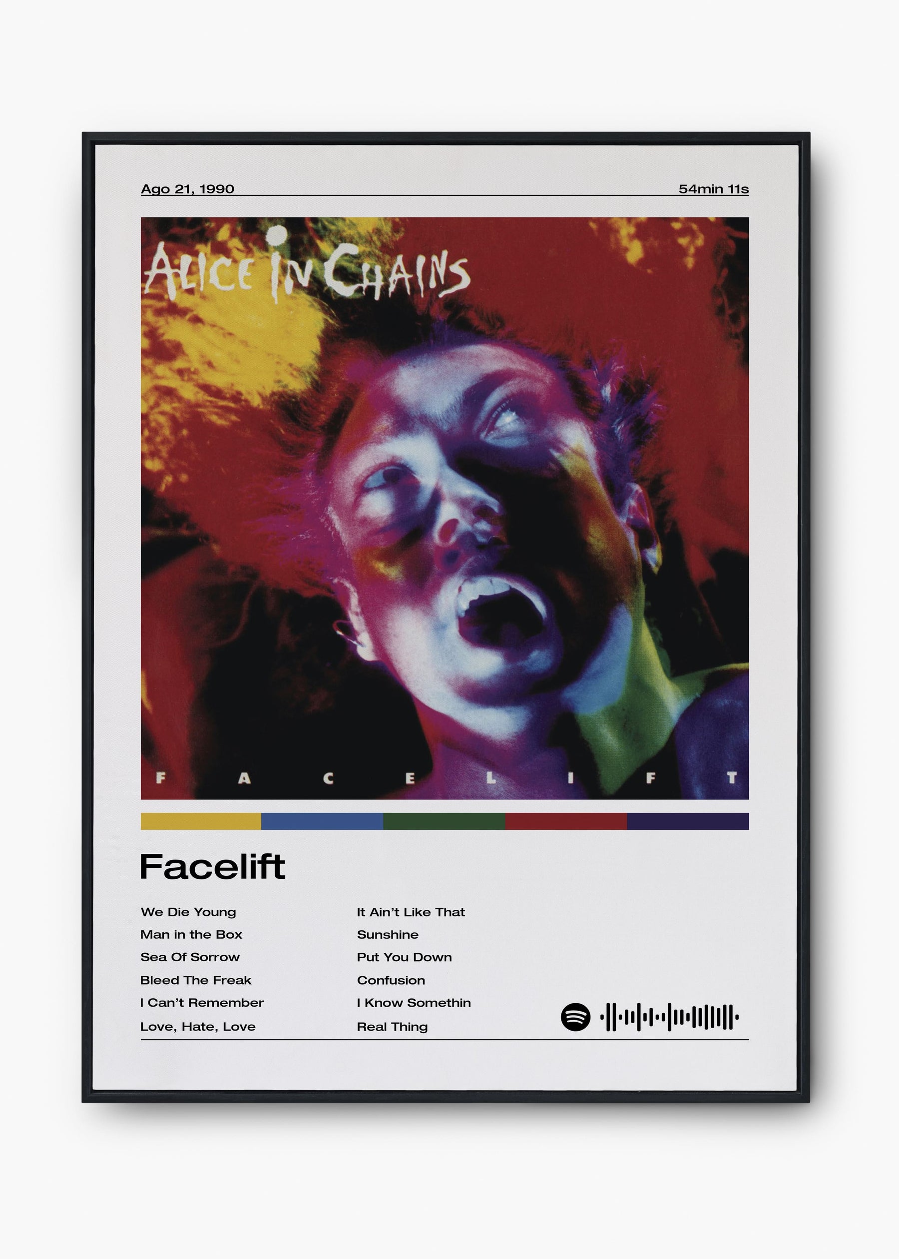 Quadro Alice in Chains Facelift