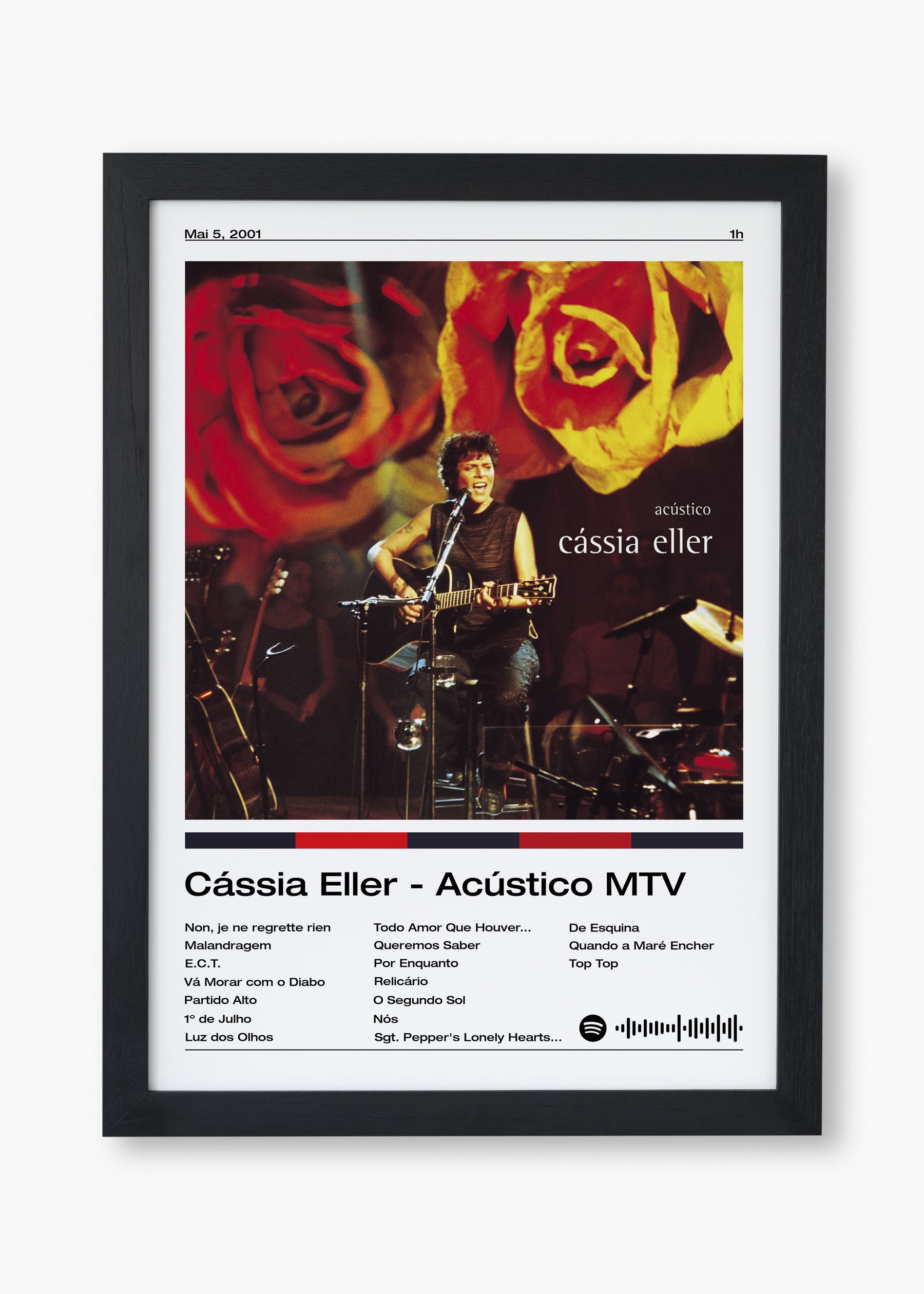 Quadro Cássia Eller Acústico MTV