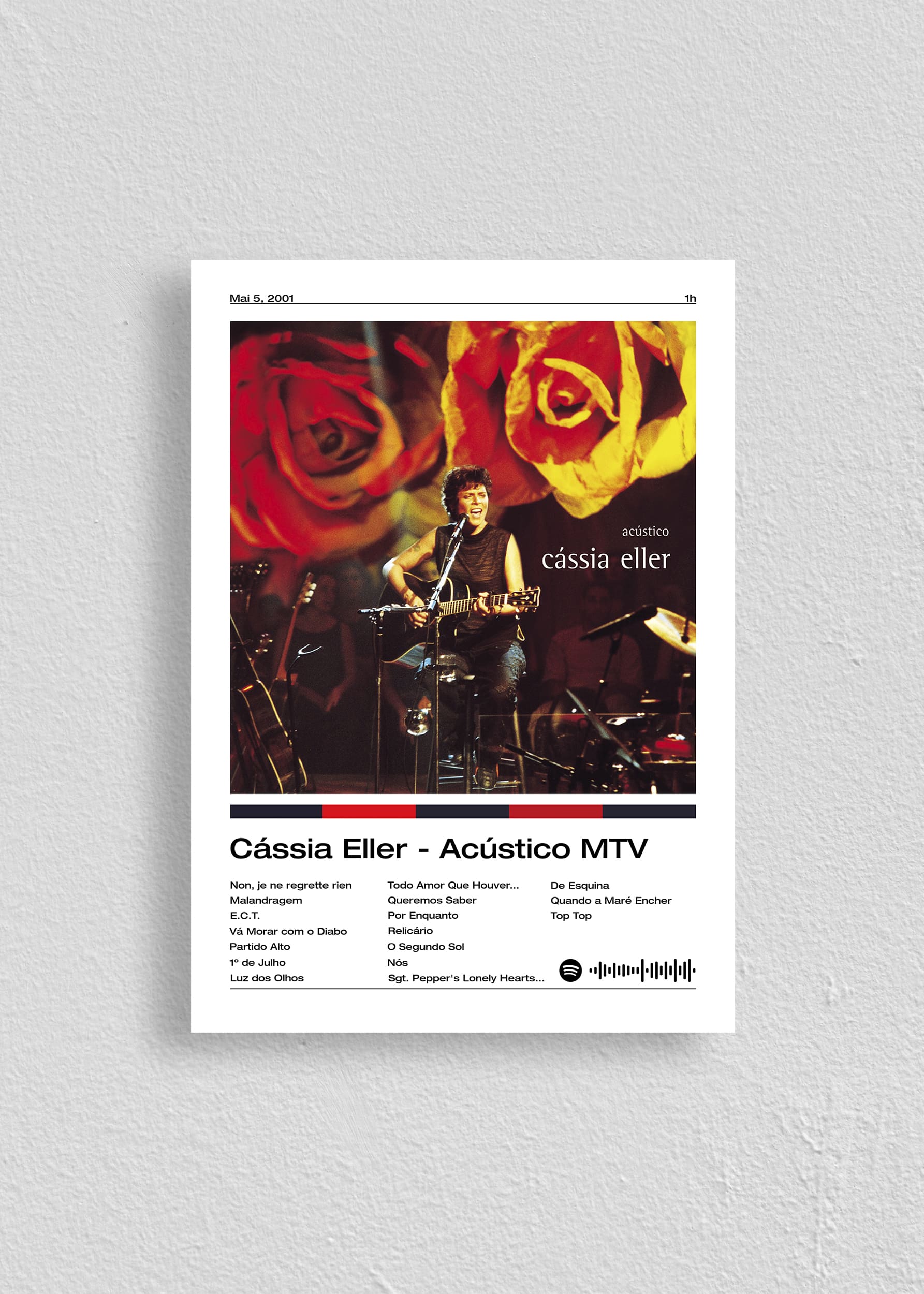 Quadro Cássia Eller Acústico MTV