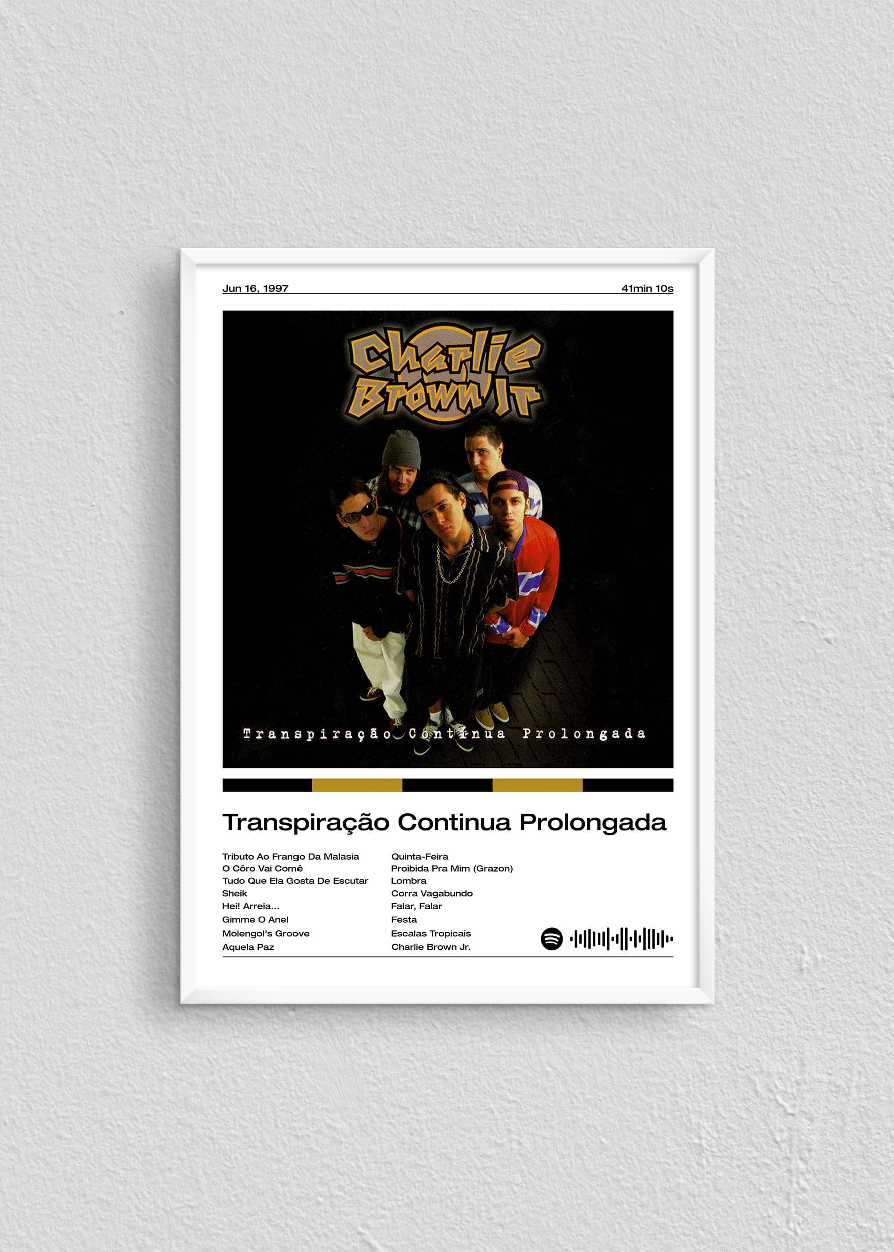 Quadro Charlie Brown Jr. Transpiração Continua Prolongada