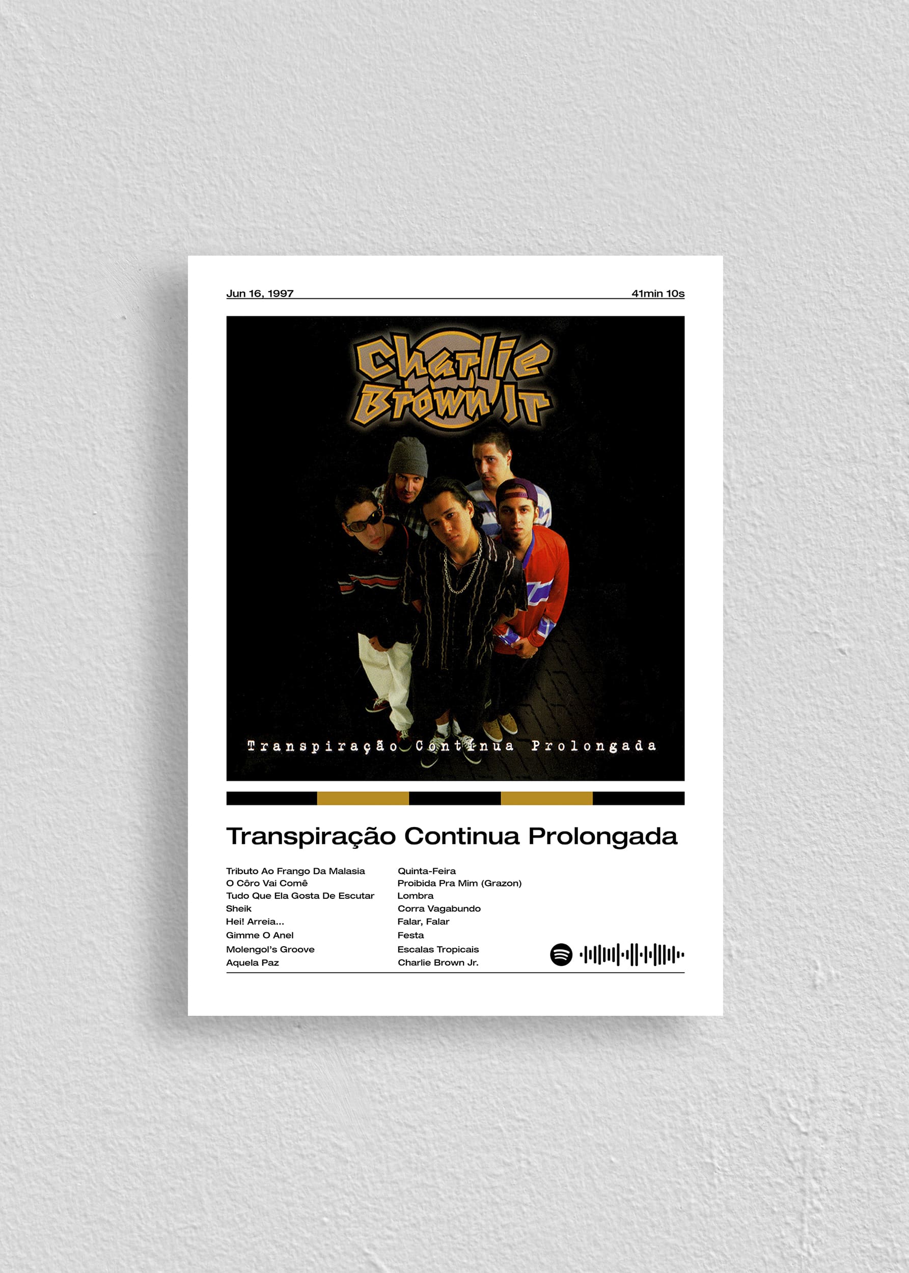Quadro Charlie Brown Jr. Transpiração Continua Prolongada