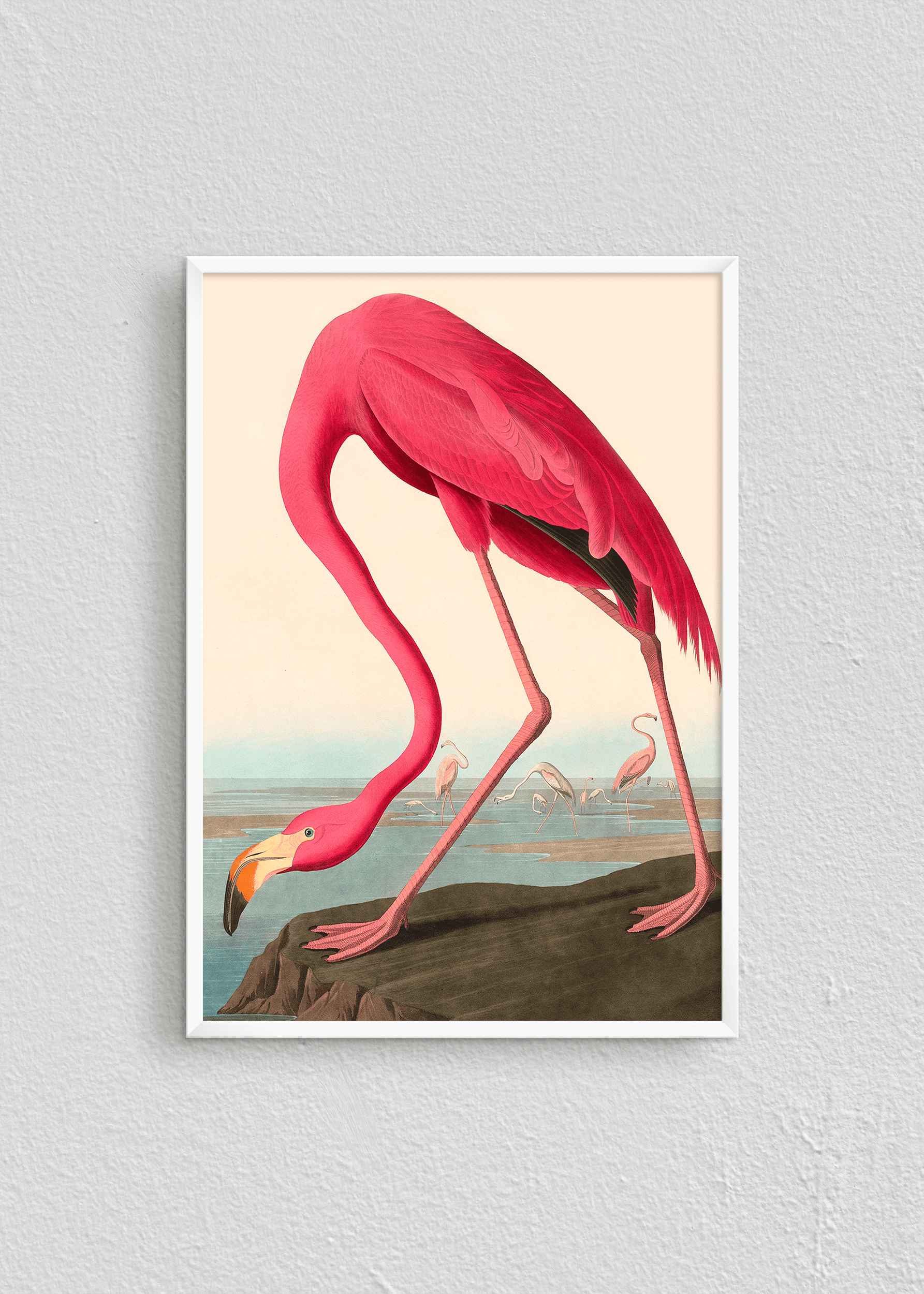 Quadro Flamingo
