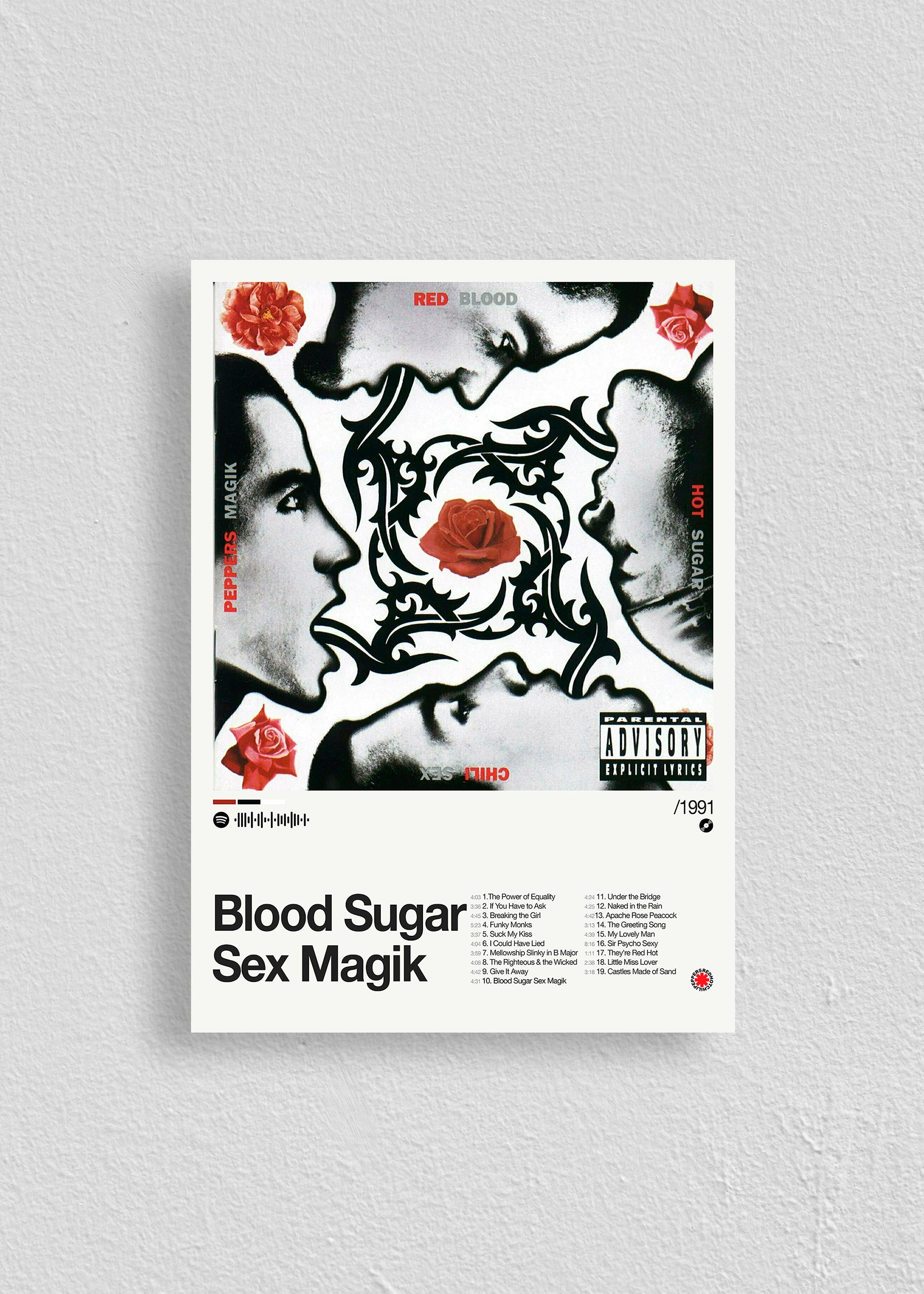 Quadro Red Hot Chili Peppers Blood Sugar Sex Magik