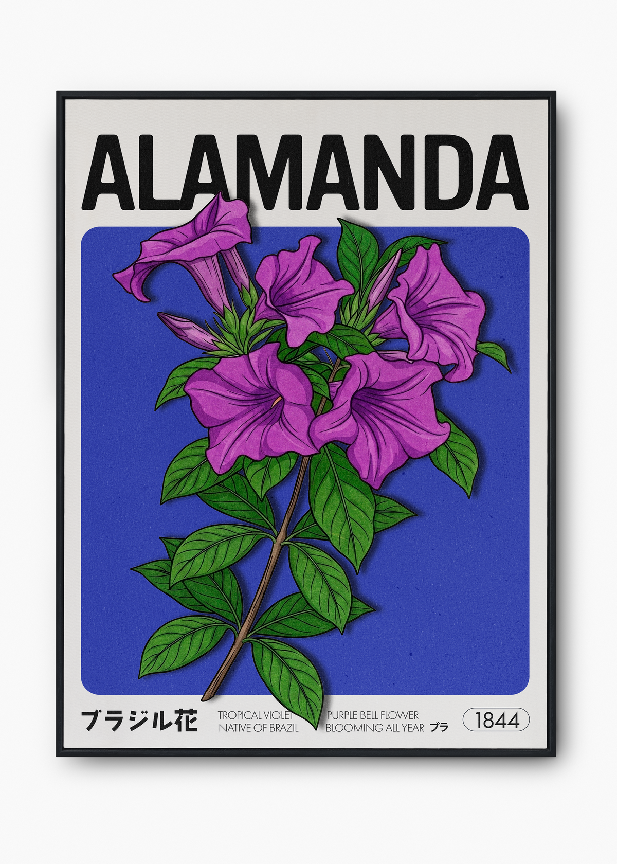 Quadro Alamanda em moldura clássica branca pendurado na parede, exemplo de como pendurar um quadro solo