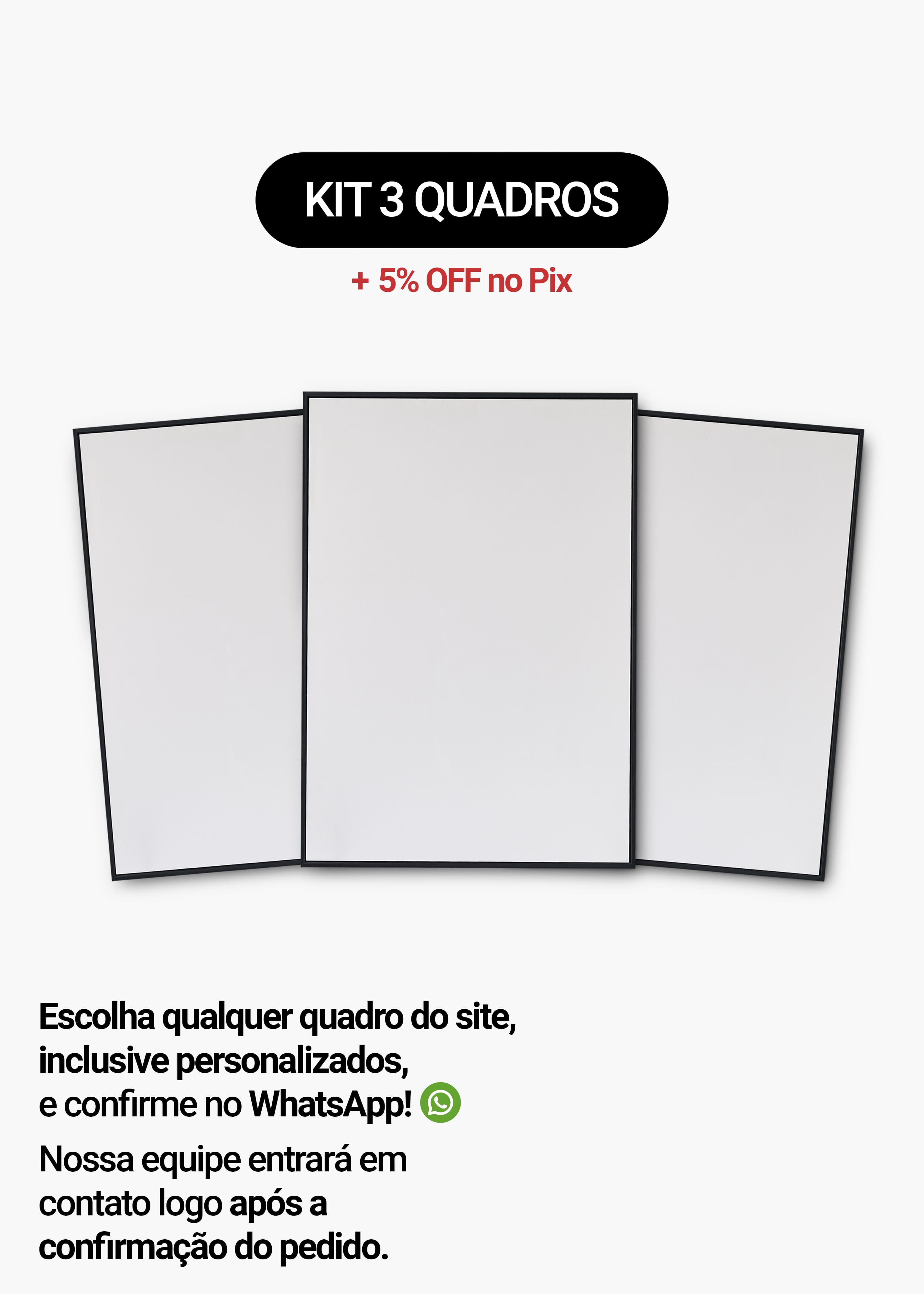 Kit 3 Quadros A Sua Escolha