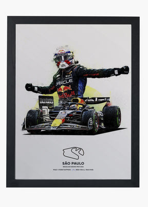 Quadro Max Verstappen São Paulo 2024