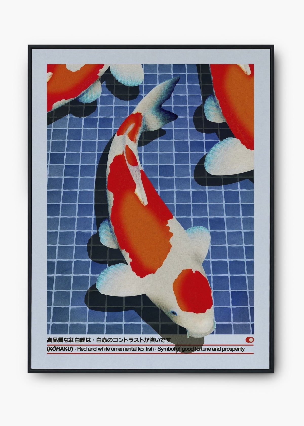 Quadro Koi