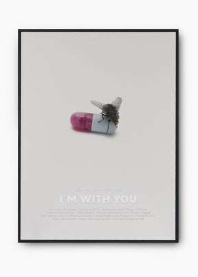 Quadro Red Hot Chili Peppers I'm With You Capa