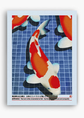 Quadro Koi