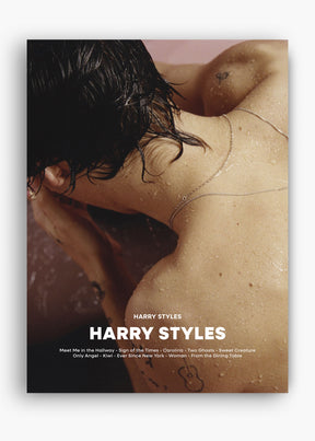 Quadro Harry Styles - Harry Styles Capa