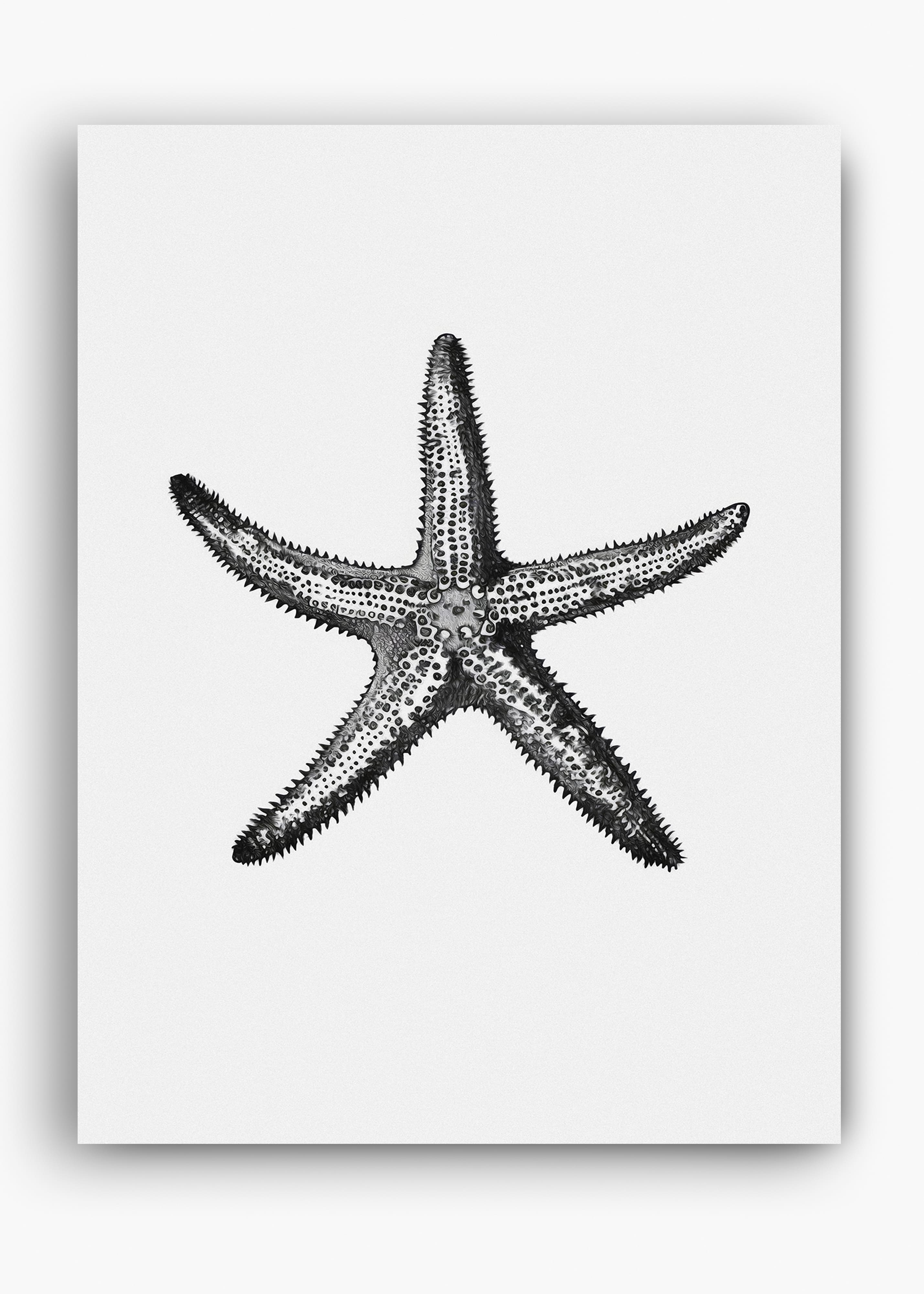 Quadro Starfish