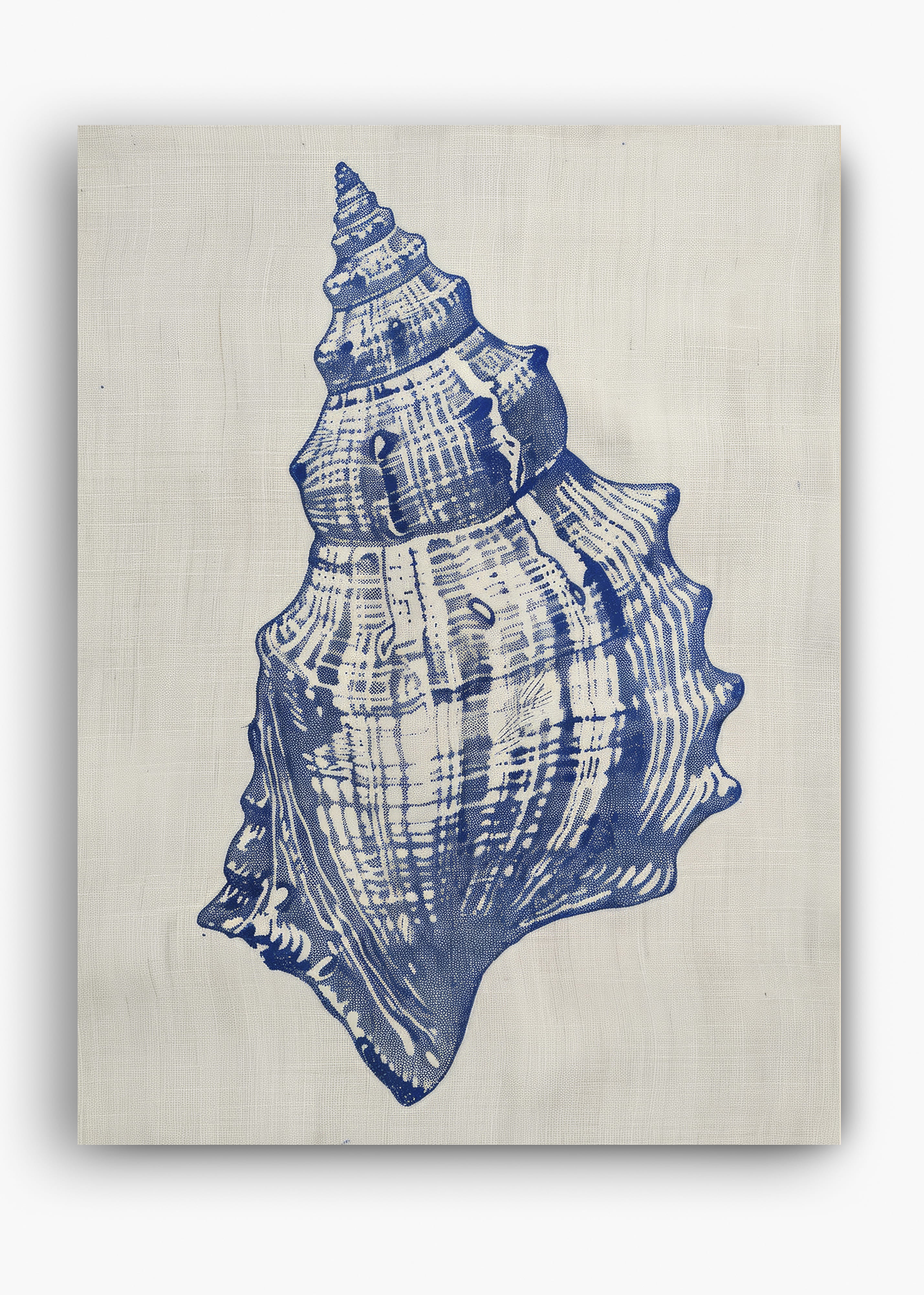 Quadro Shells I