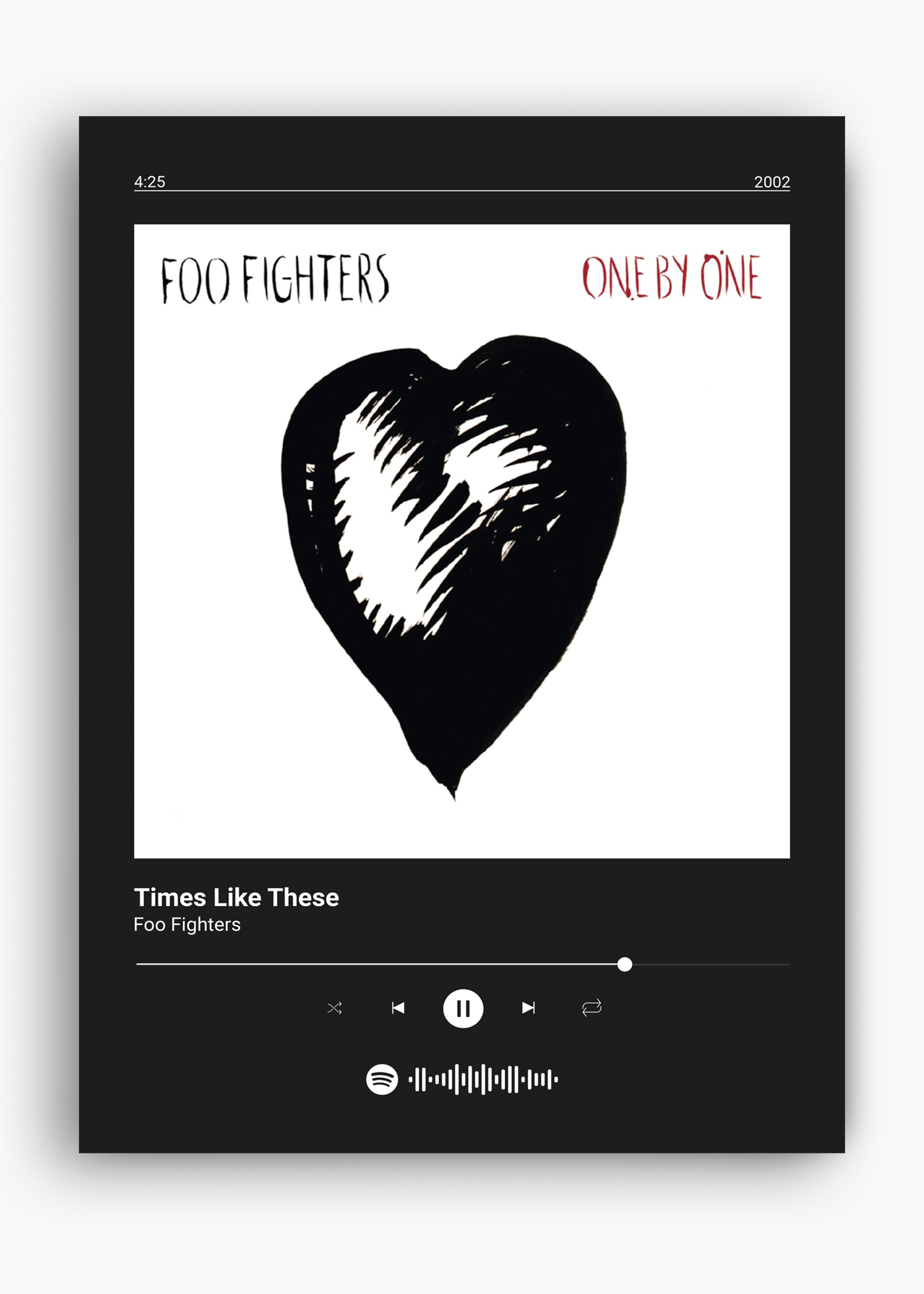 Quadro Foo Fighters Times Like These - 10