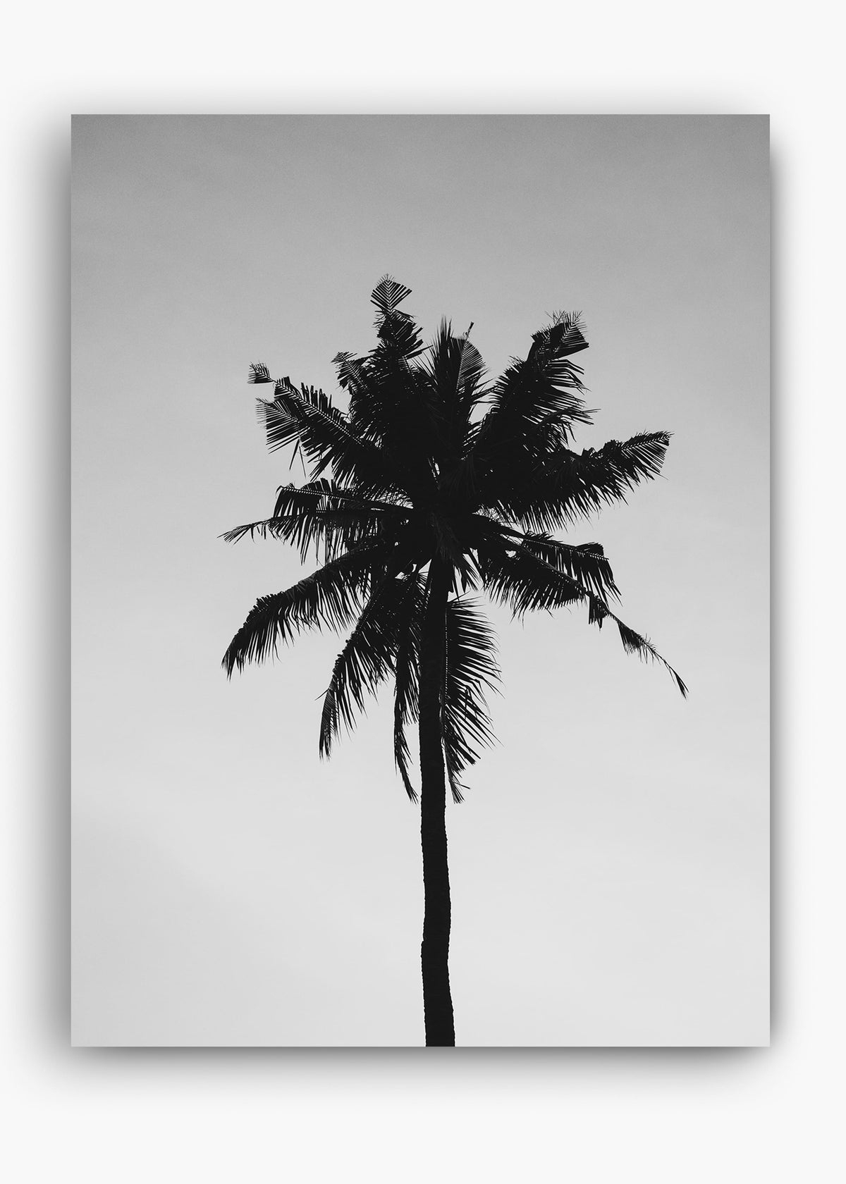 Quadro Sea Nature II