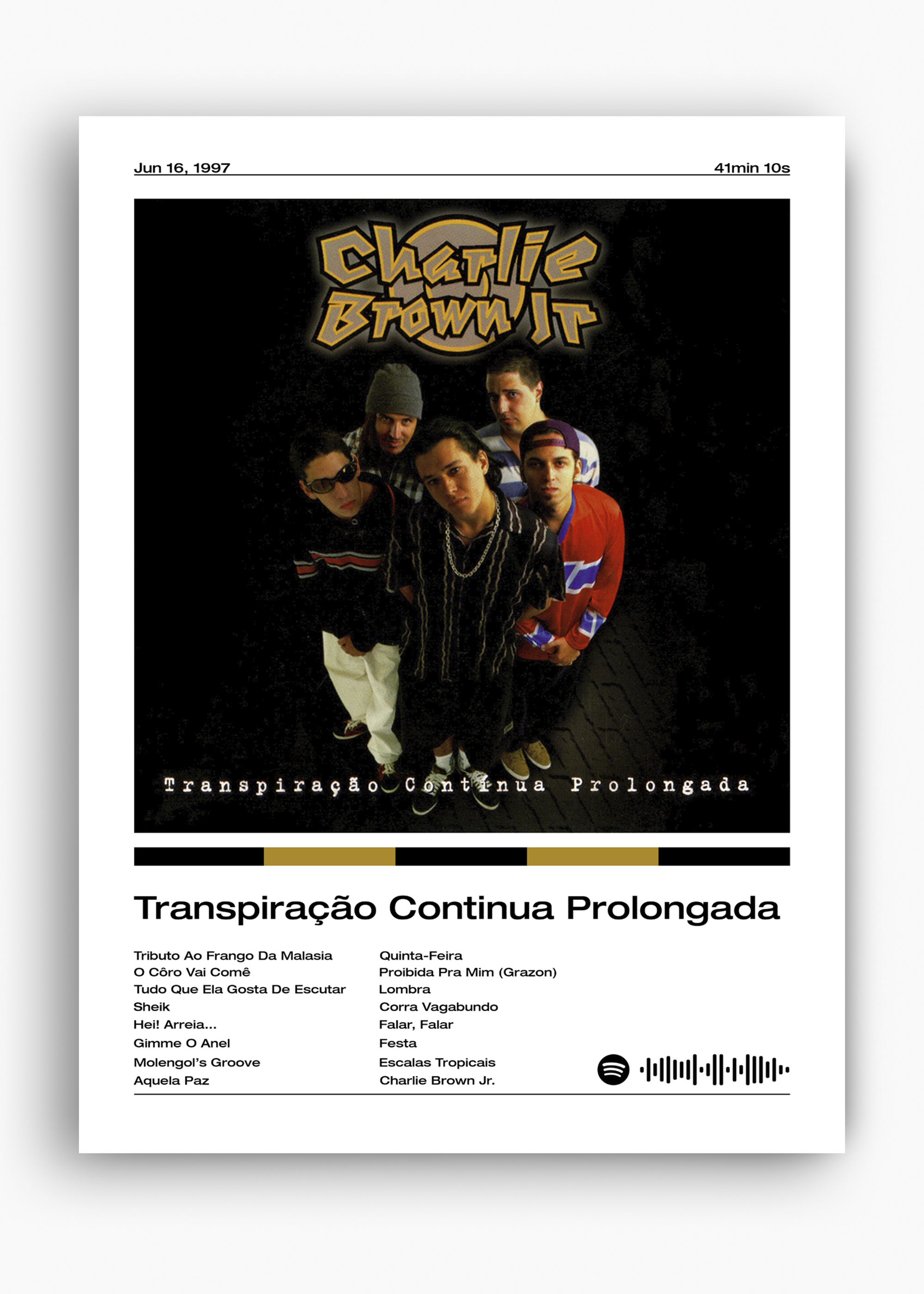 Quadro Charlie Brown Jr. Transpiração Continua Prolongada - 10