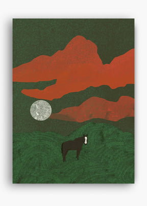 Quadro Field