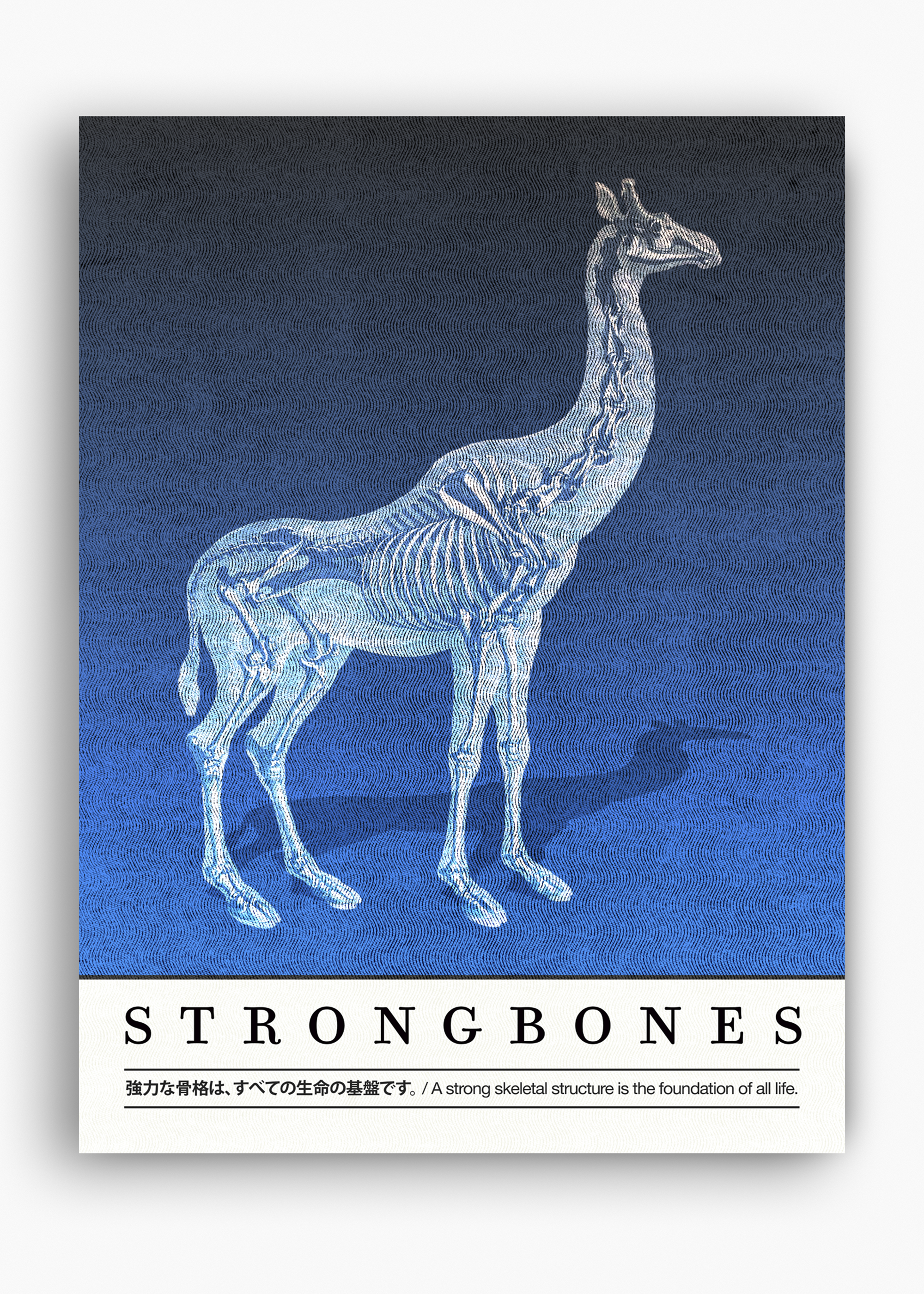 Quadro Strongbones - 10