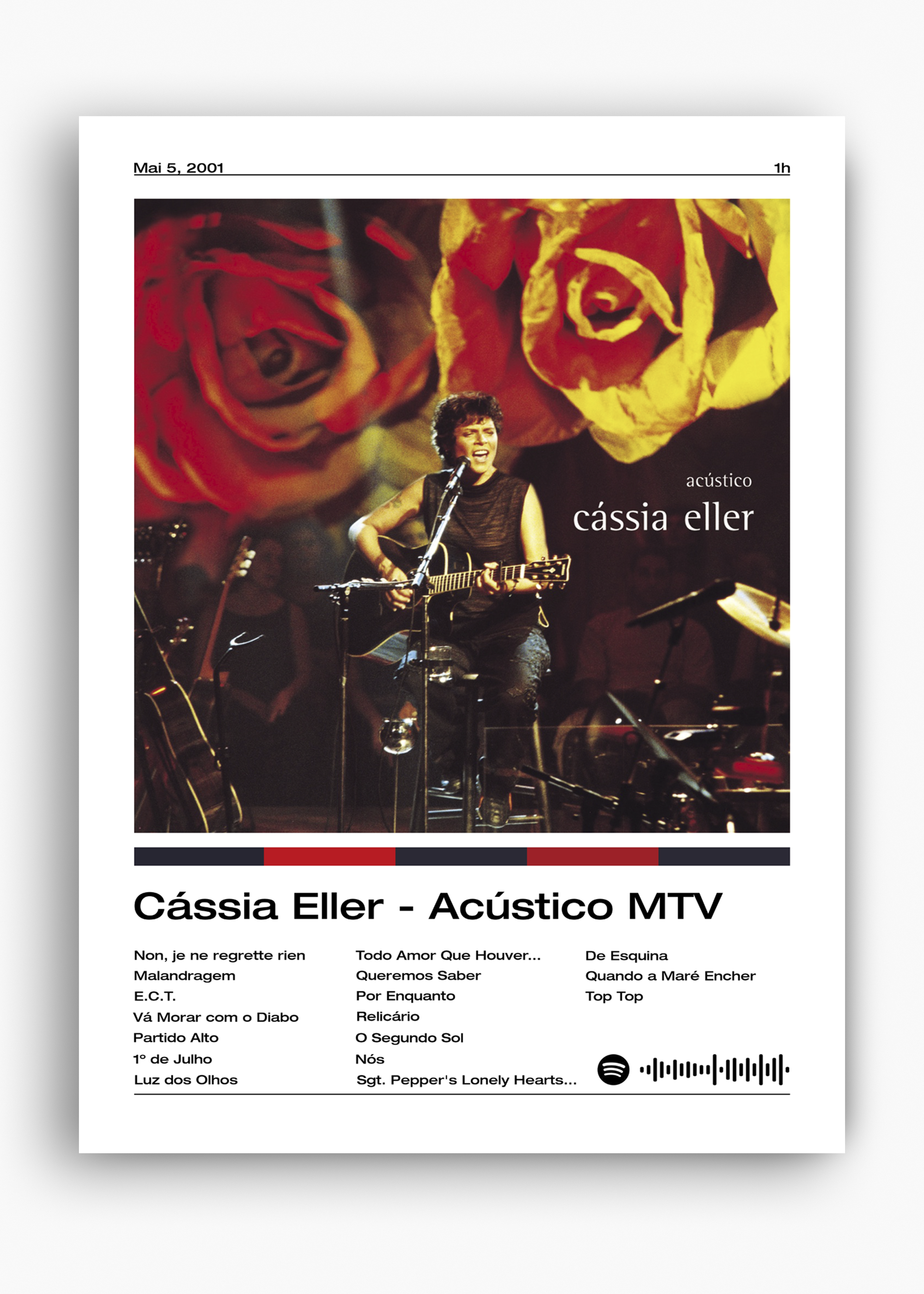 Quadro Cássia Eller Acústico MTV - 10