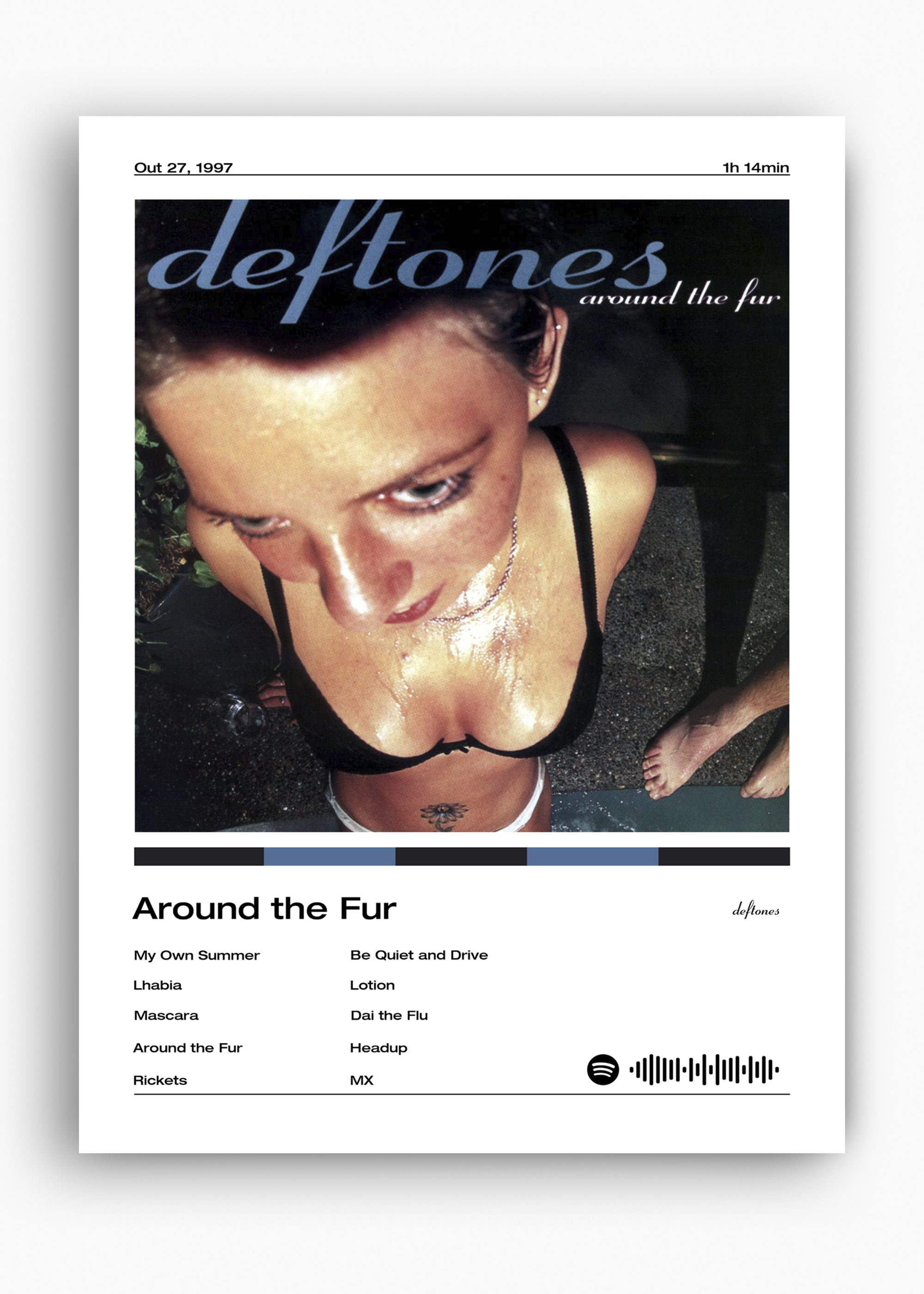 Quadro Deftones Around the Fur - 10