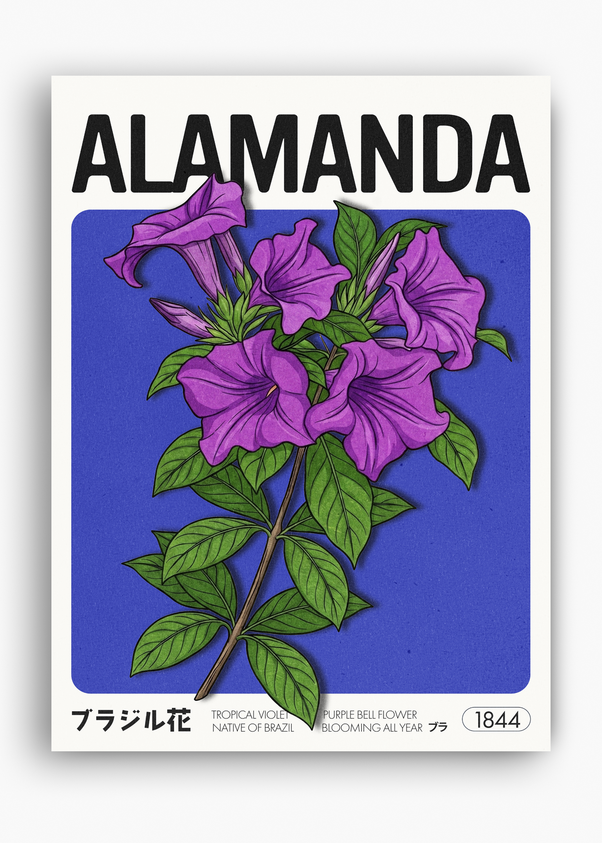 Quadro Alamanda - 10