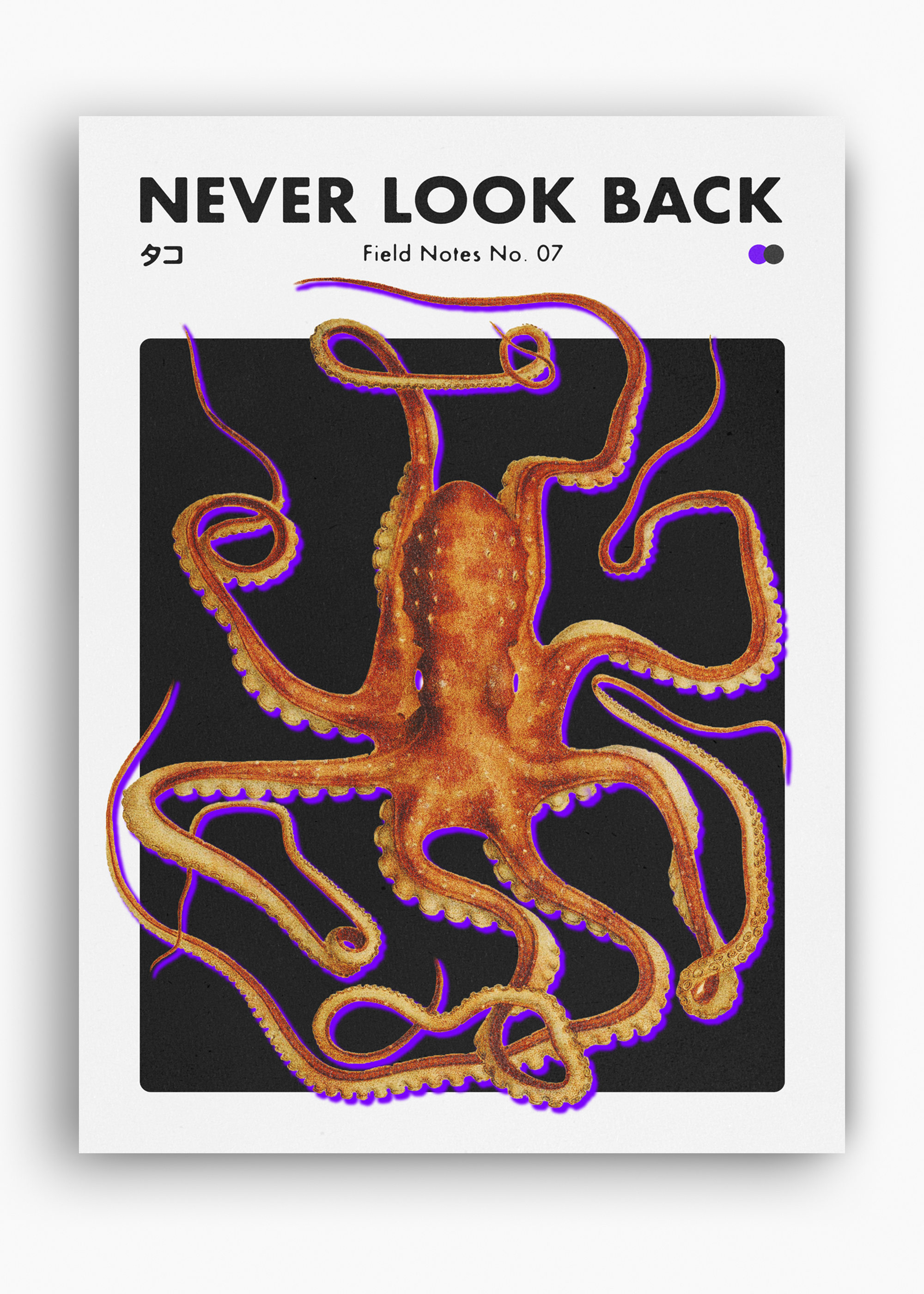 Quadro Never Look Back v2 - 10