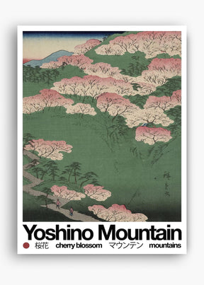 Quadro Mountain Yosh