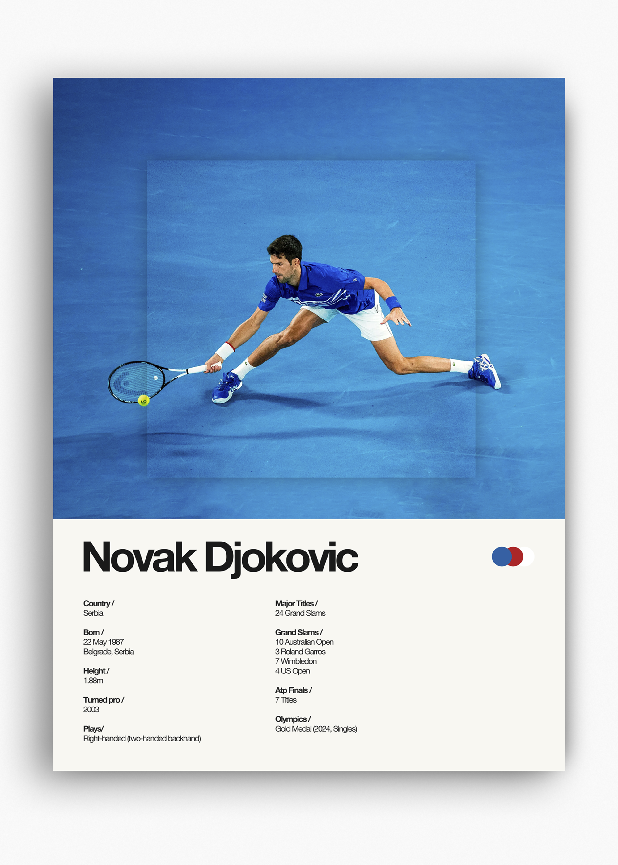 Quadro Novak Djokovic - 10