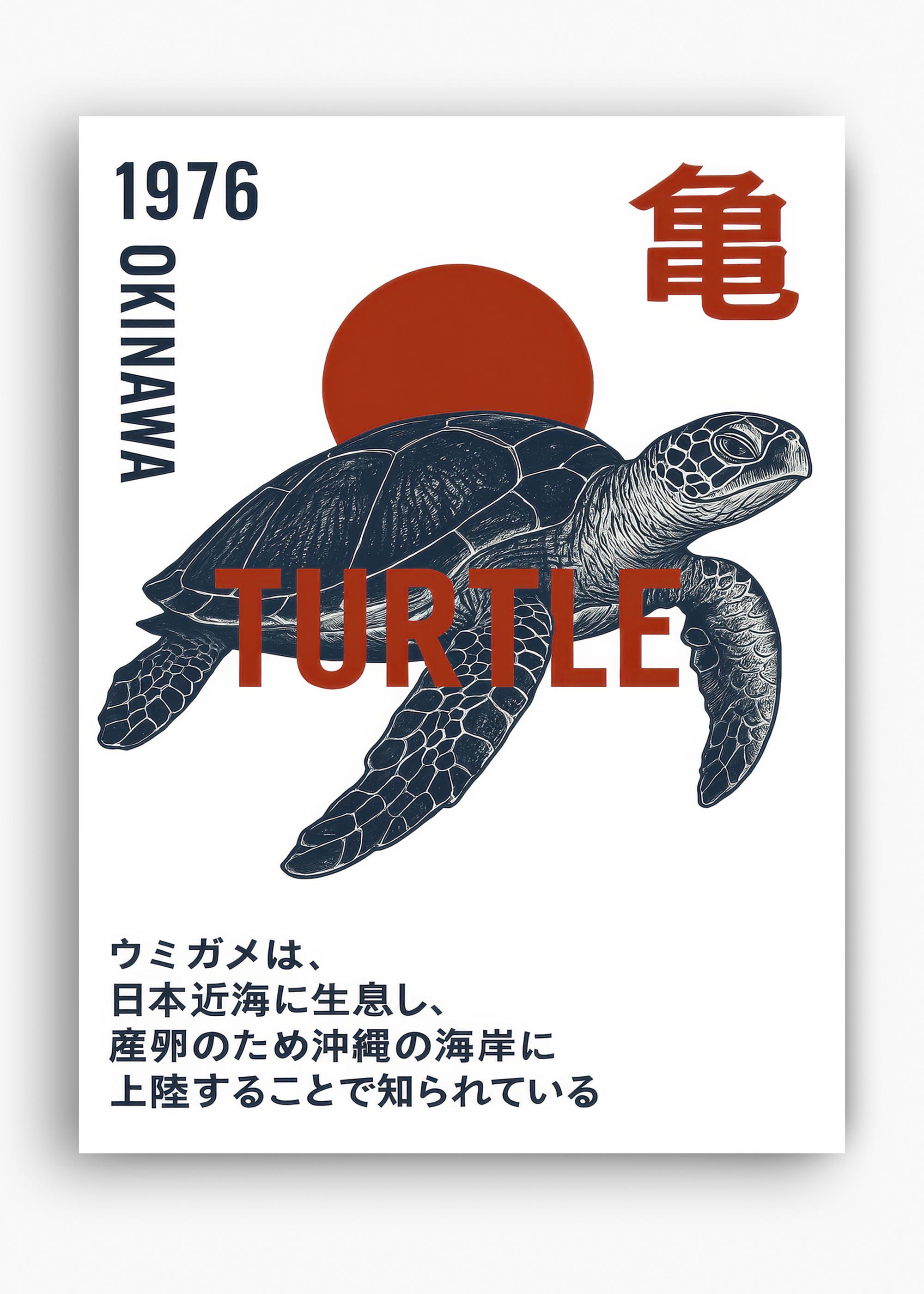 Quadro Japonês Turtle Okinawa - 10