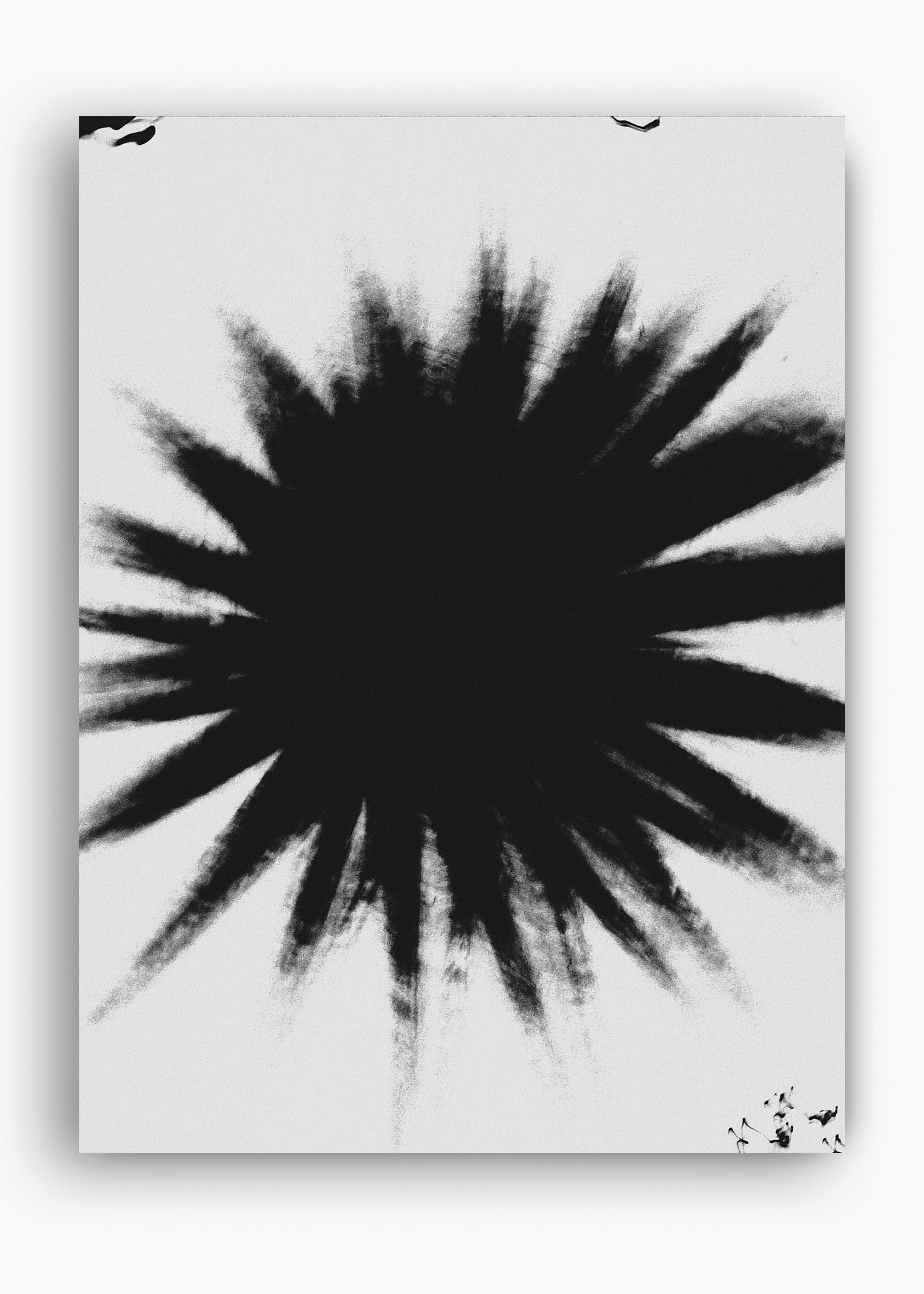 Quadro Star
