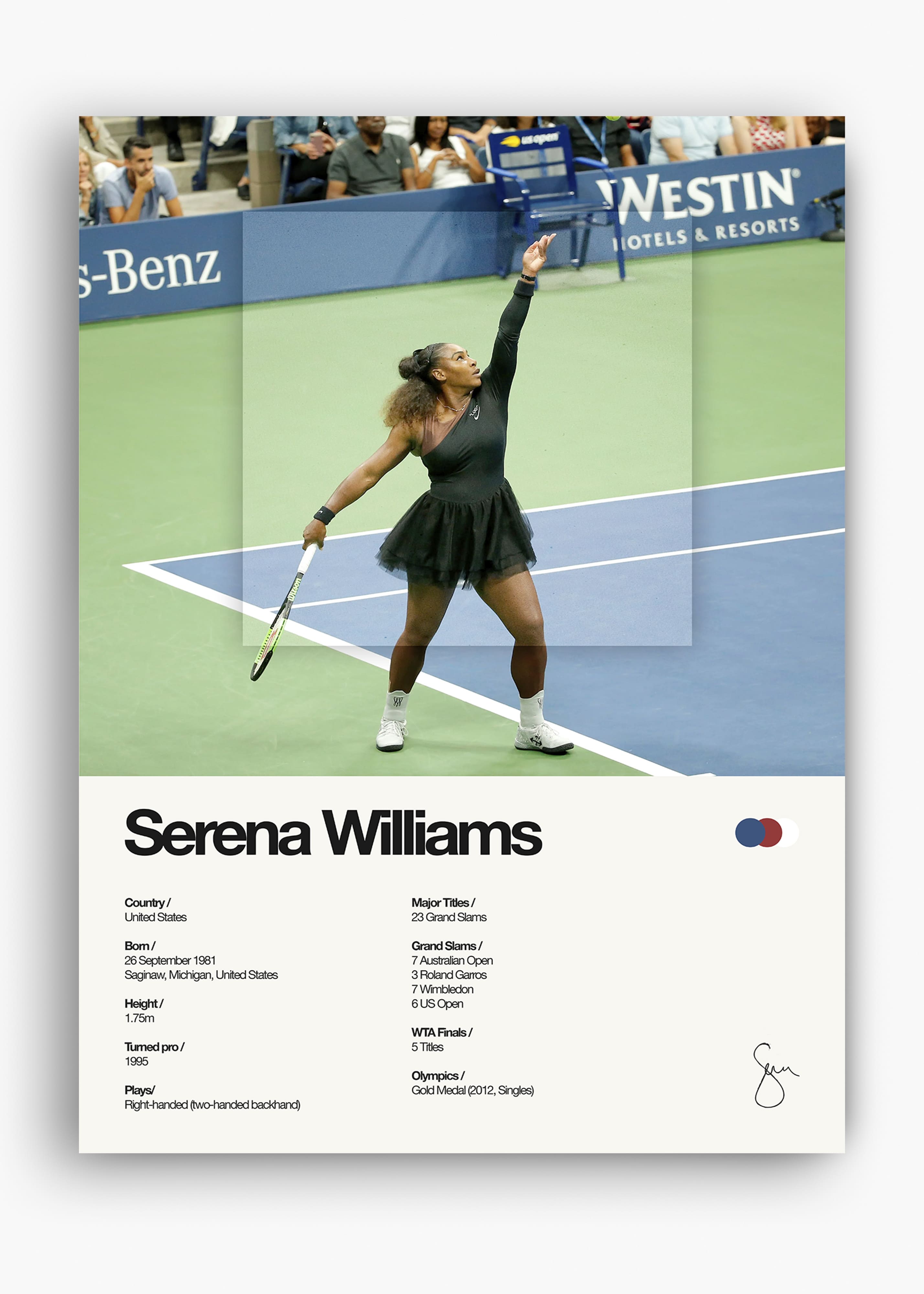 Quadro Serena Williams