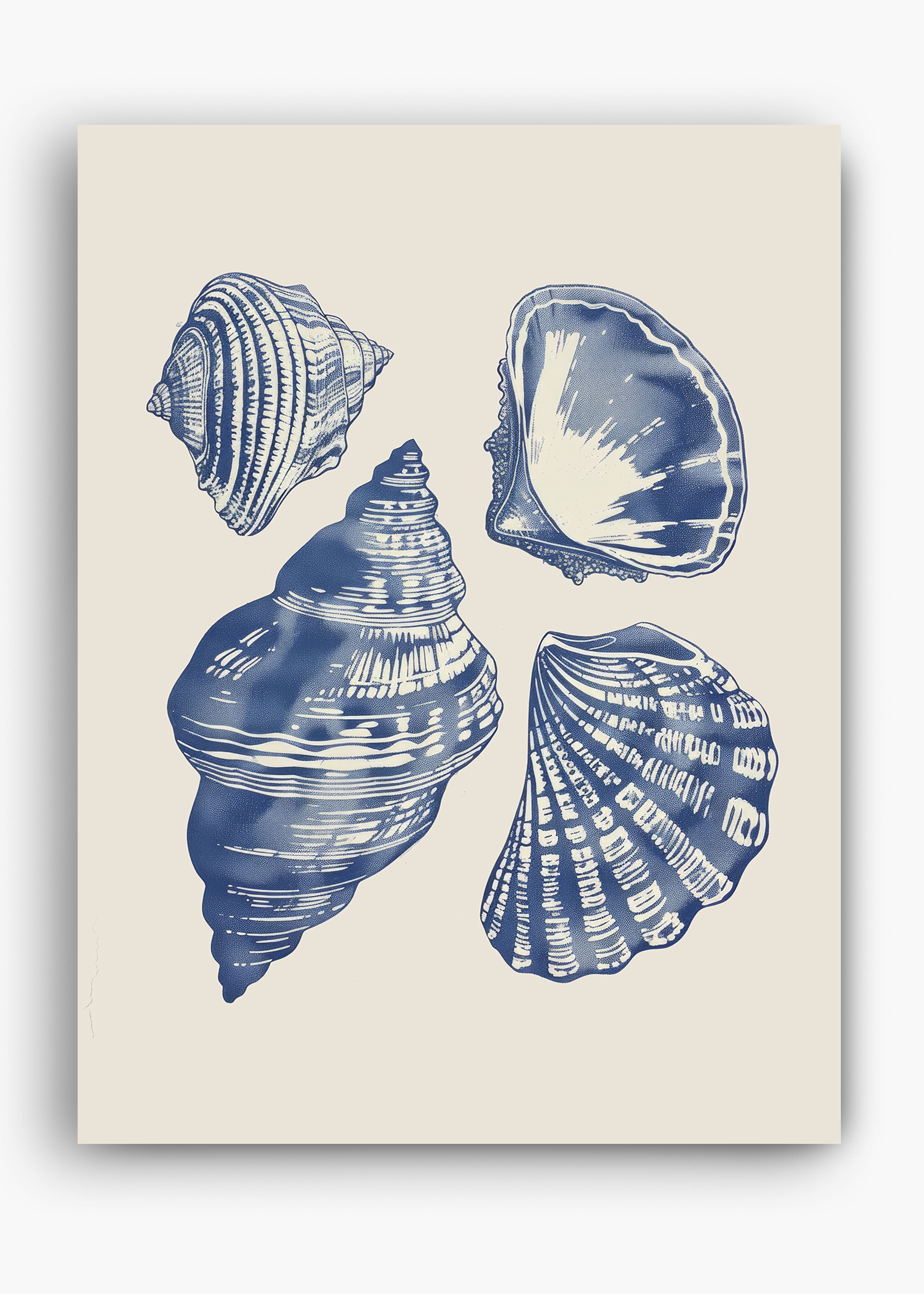 Quadro Shells II