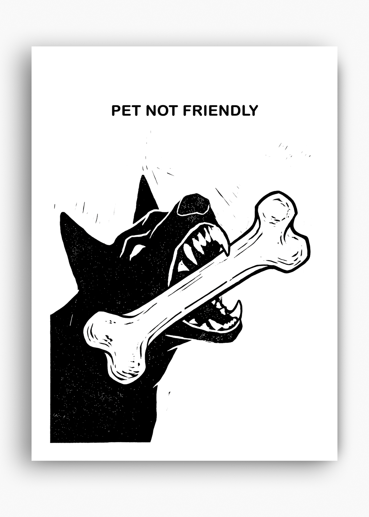 Quadro Pet Not Friendly - 10