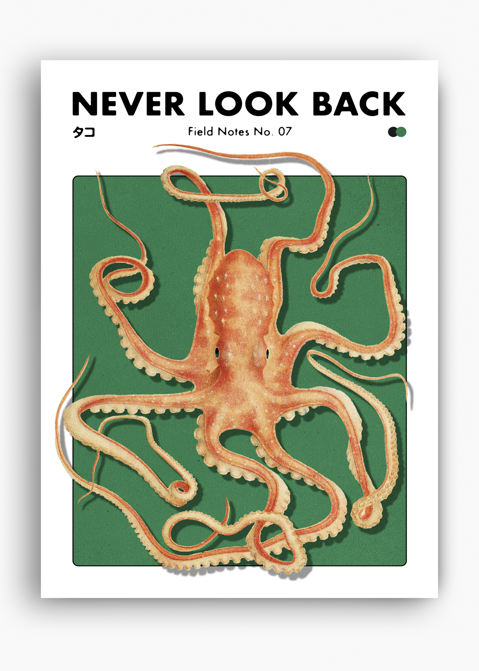 Quadro Never Look Back - 10
