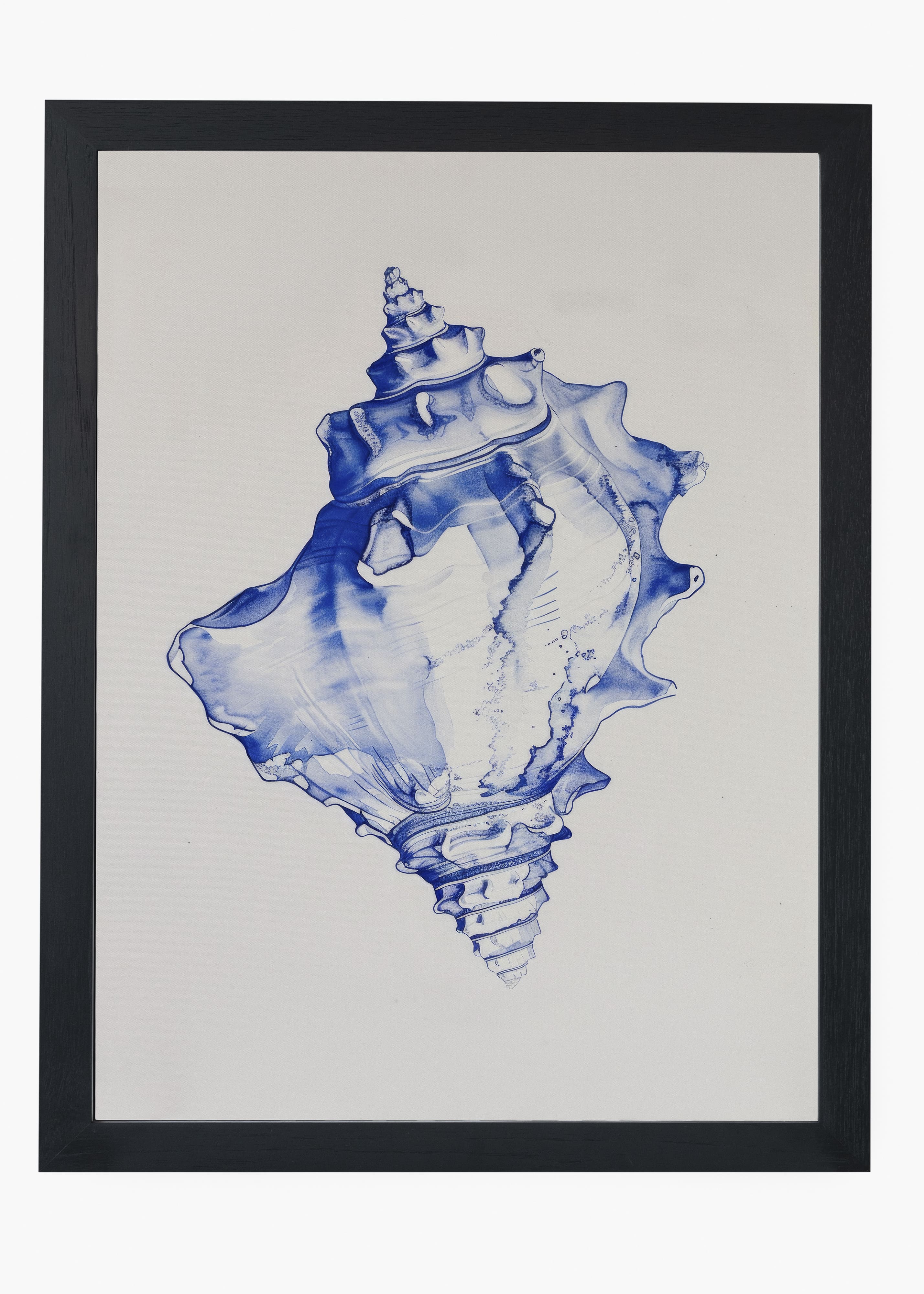 Quadro Shells III
