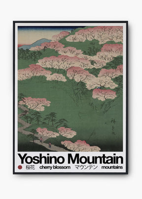 Quadro Mountain Yosh