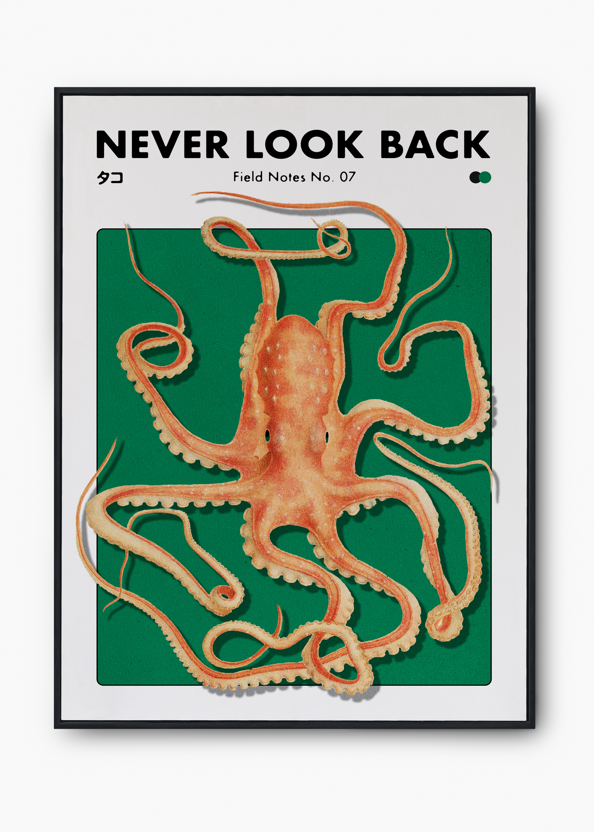 Quadro Never Look Back - 1