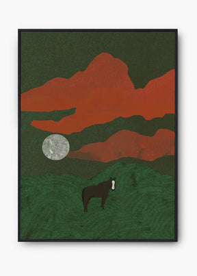 Quadro Field