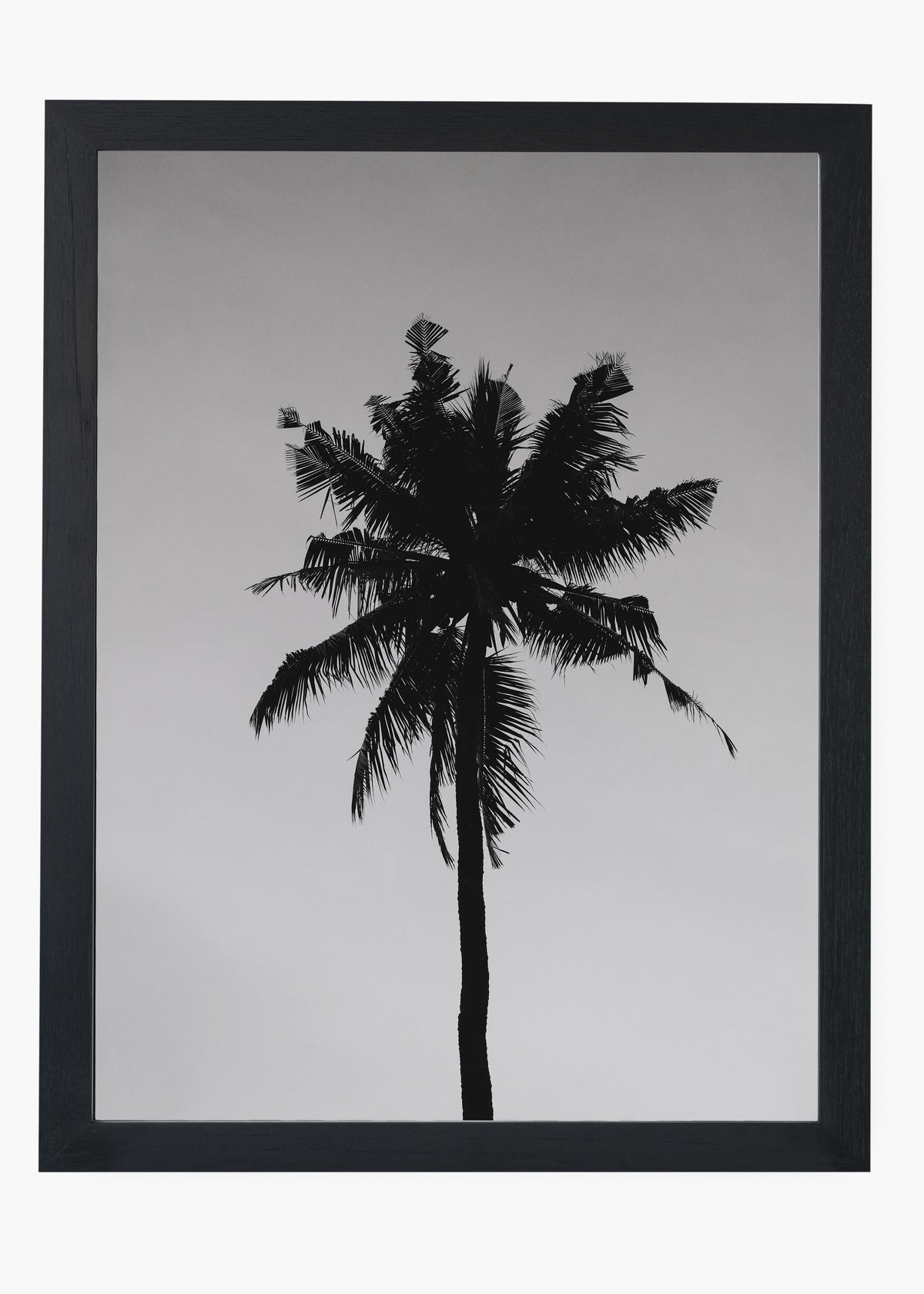 Quadro Sea Nature II