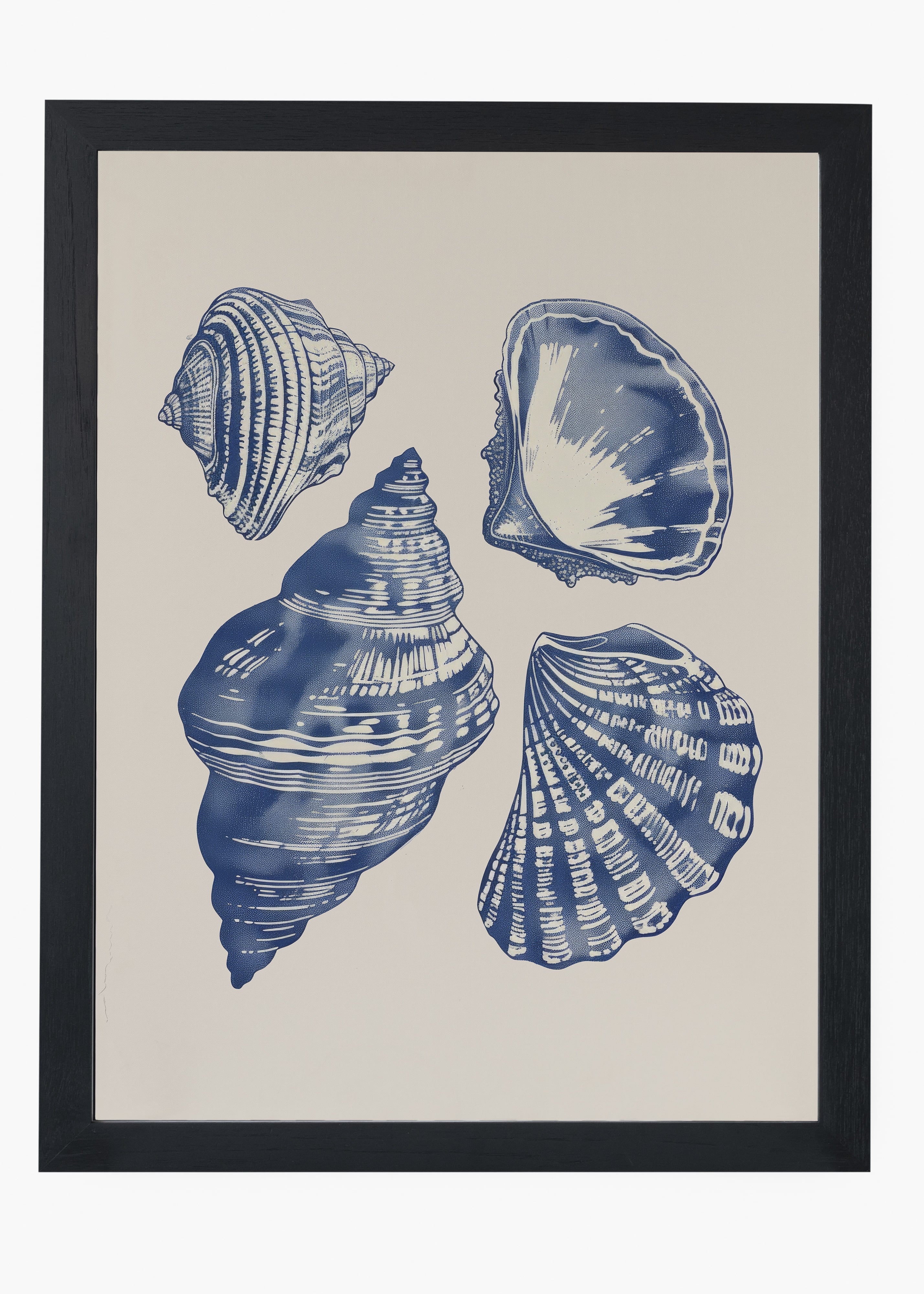 Quadro Shells II