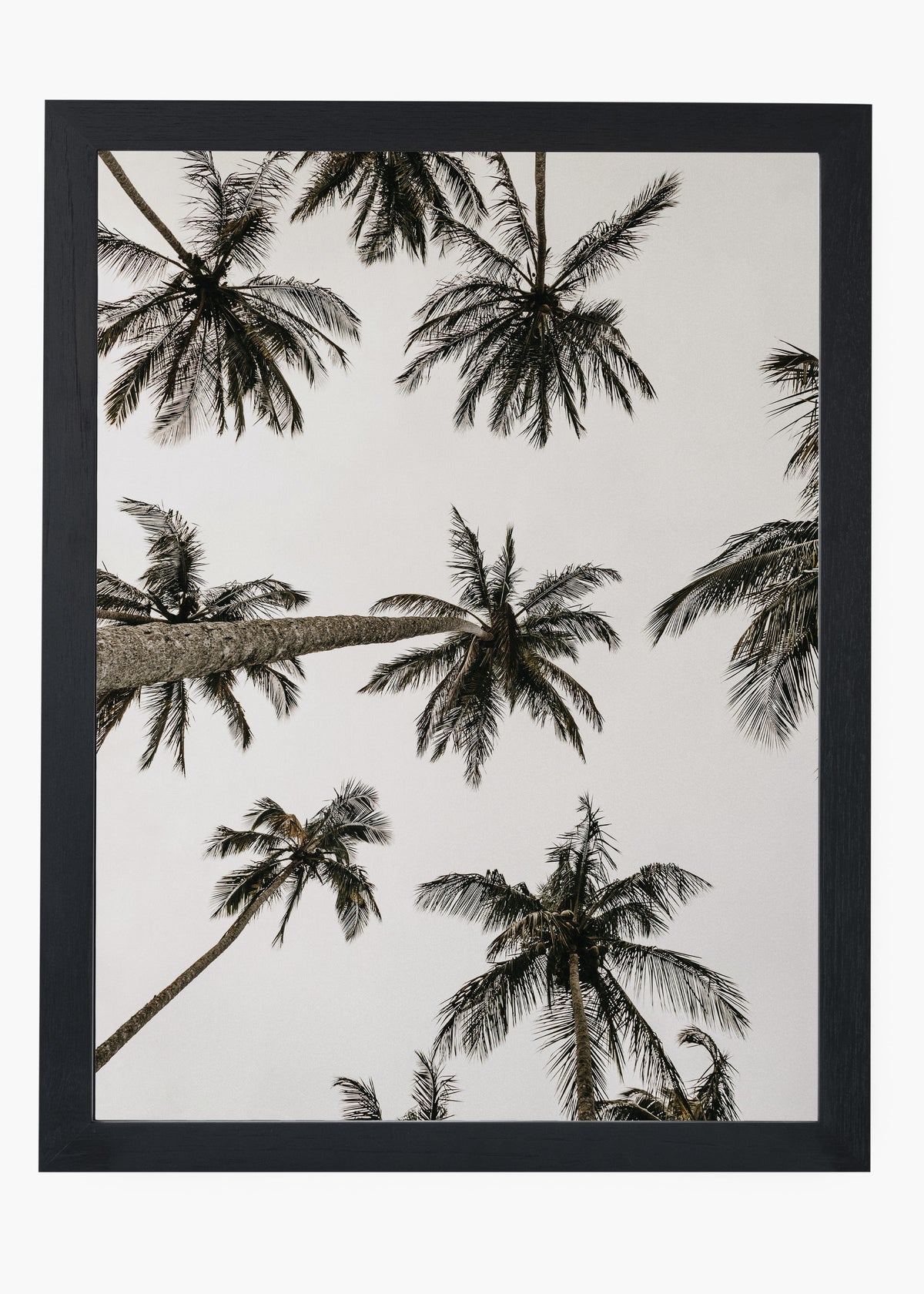 Quadro Sea Nature I