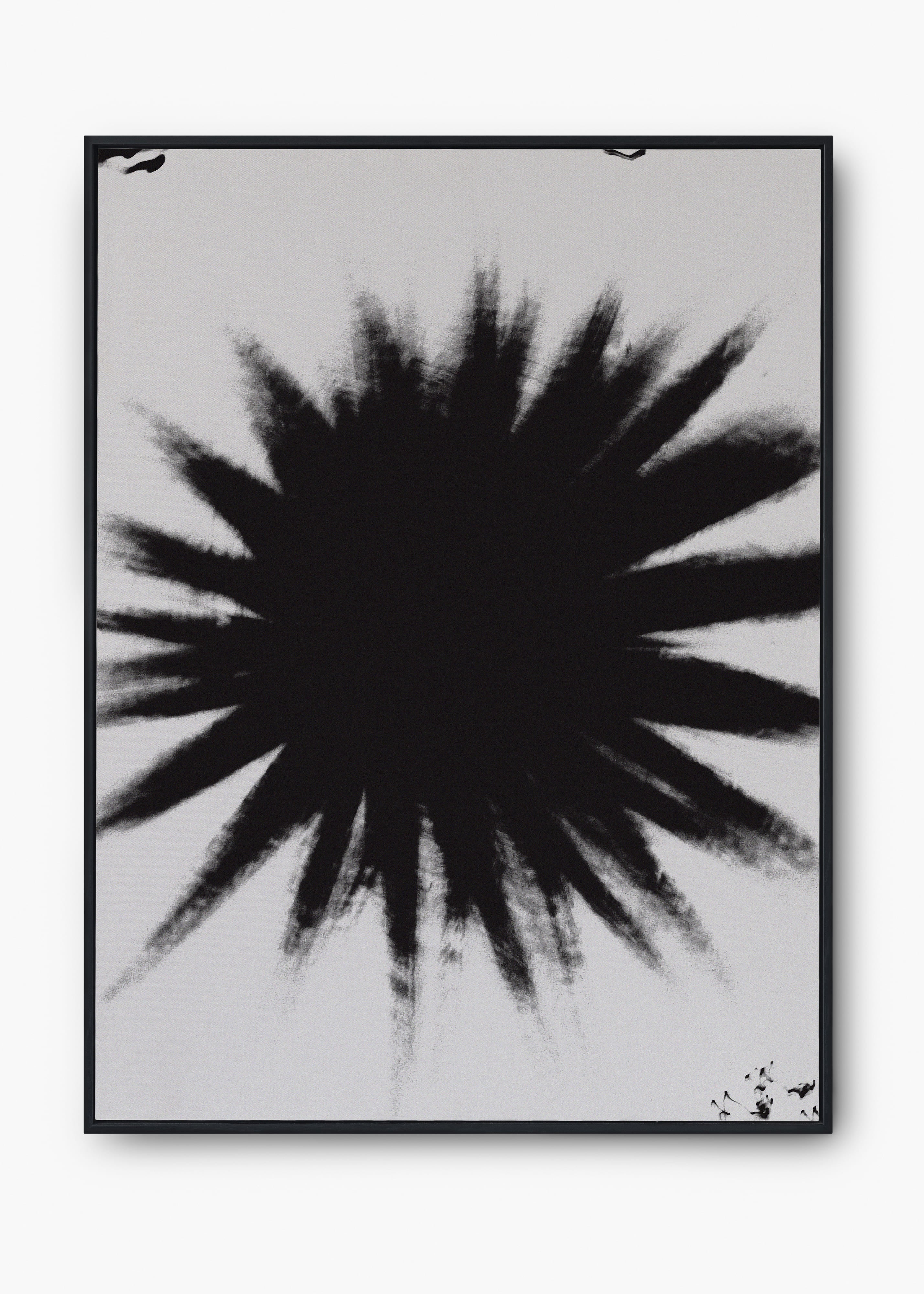 Quadro Star