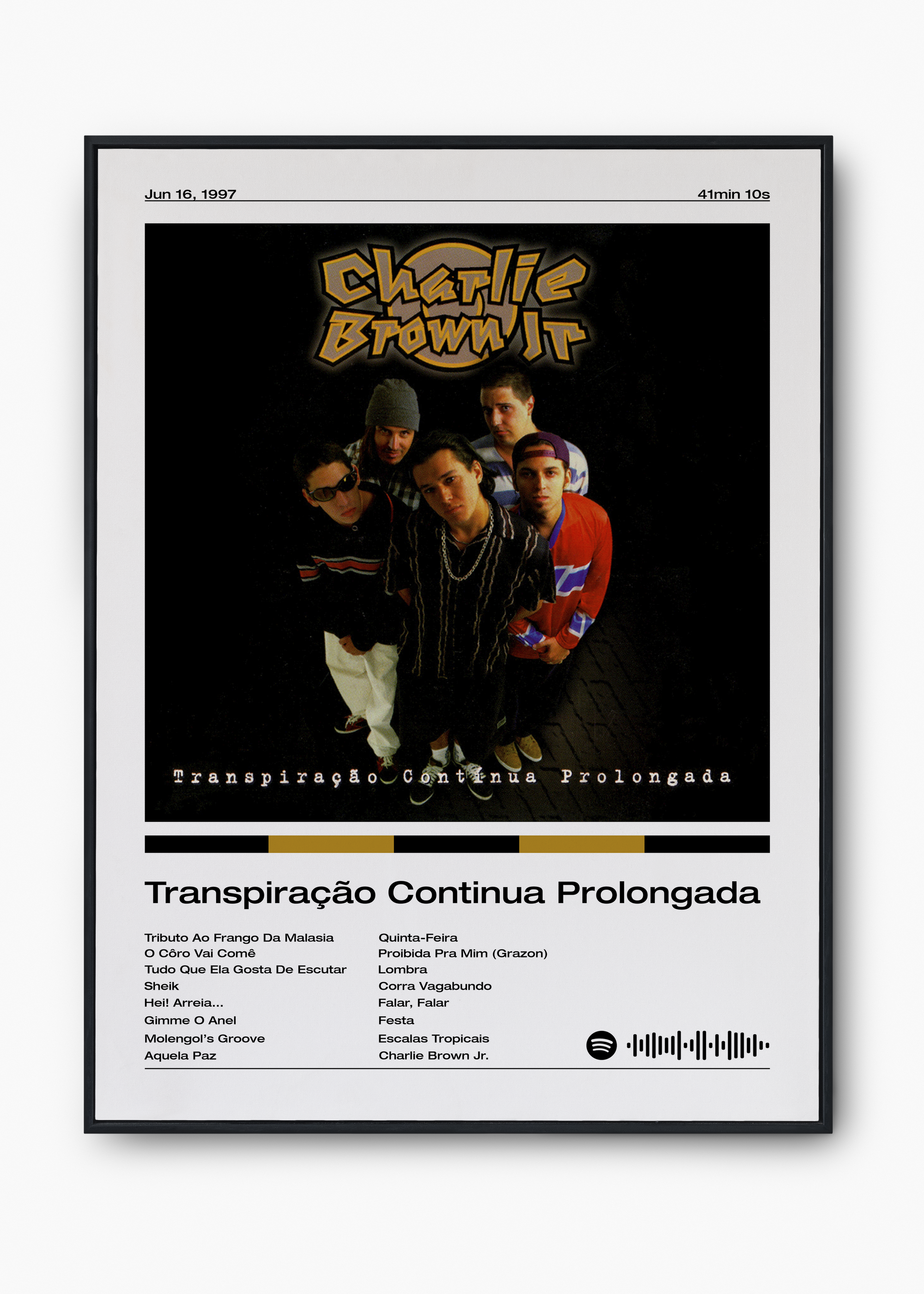 Quadro Charlie Brown Jr. Transpiração Continua Prolongada - 1