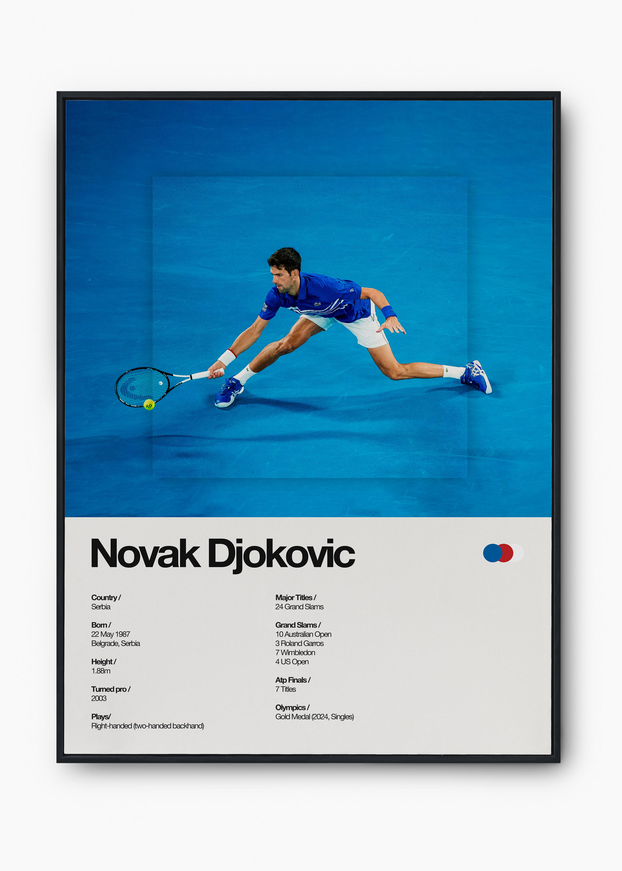 Quadro Novak Djokovic - 1