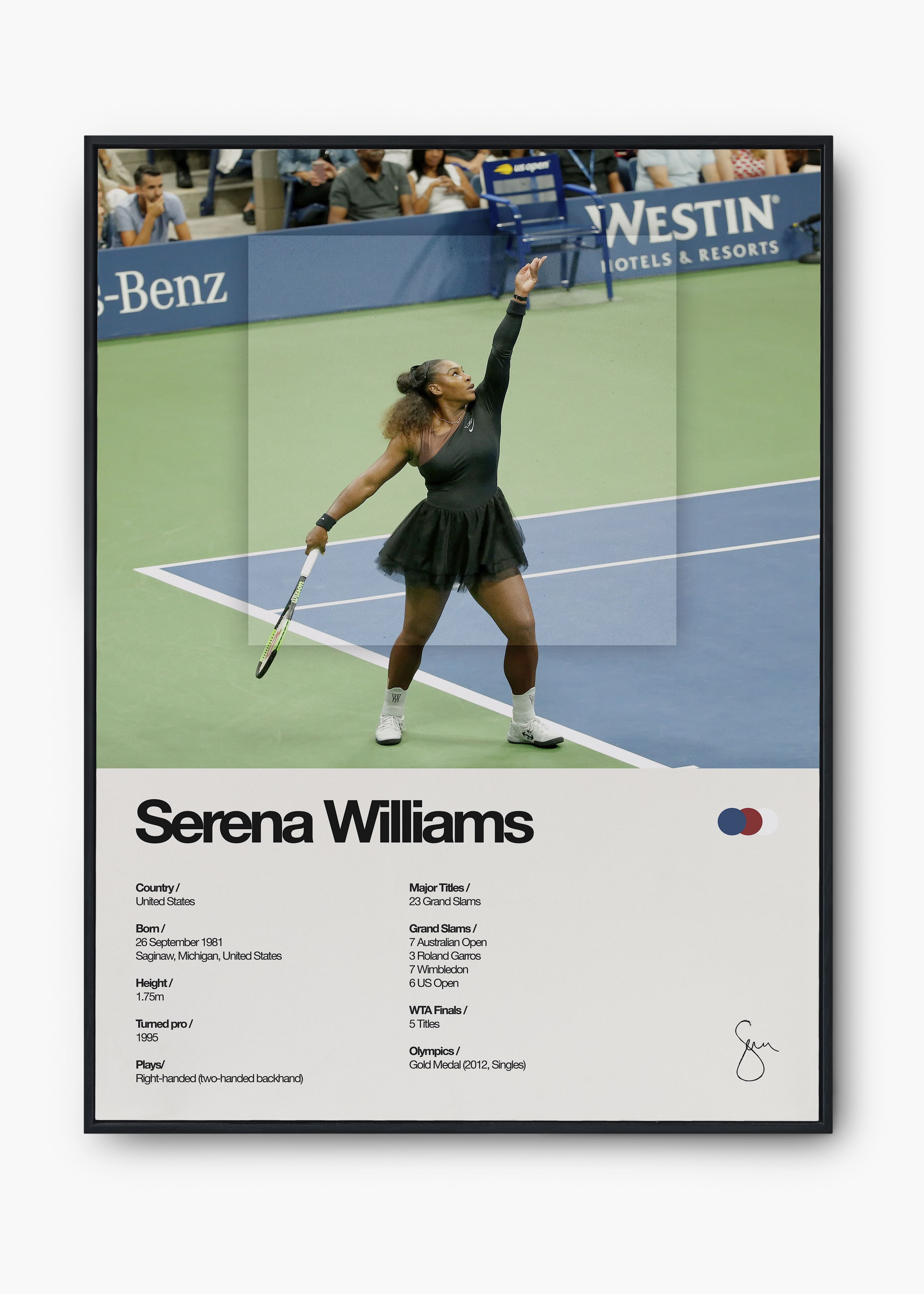 Quadro Serena Williams