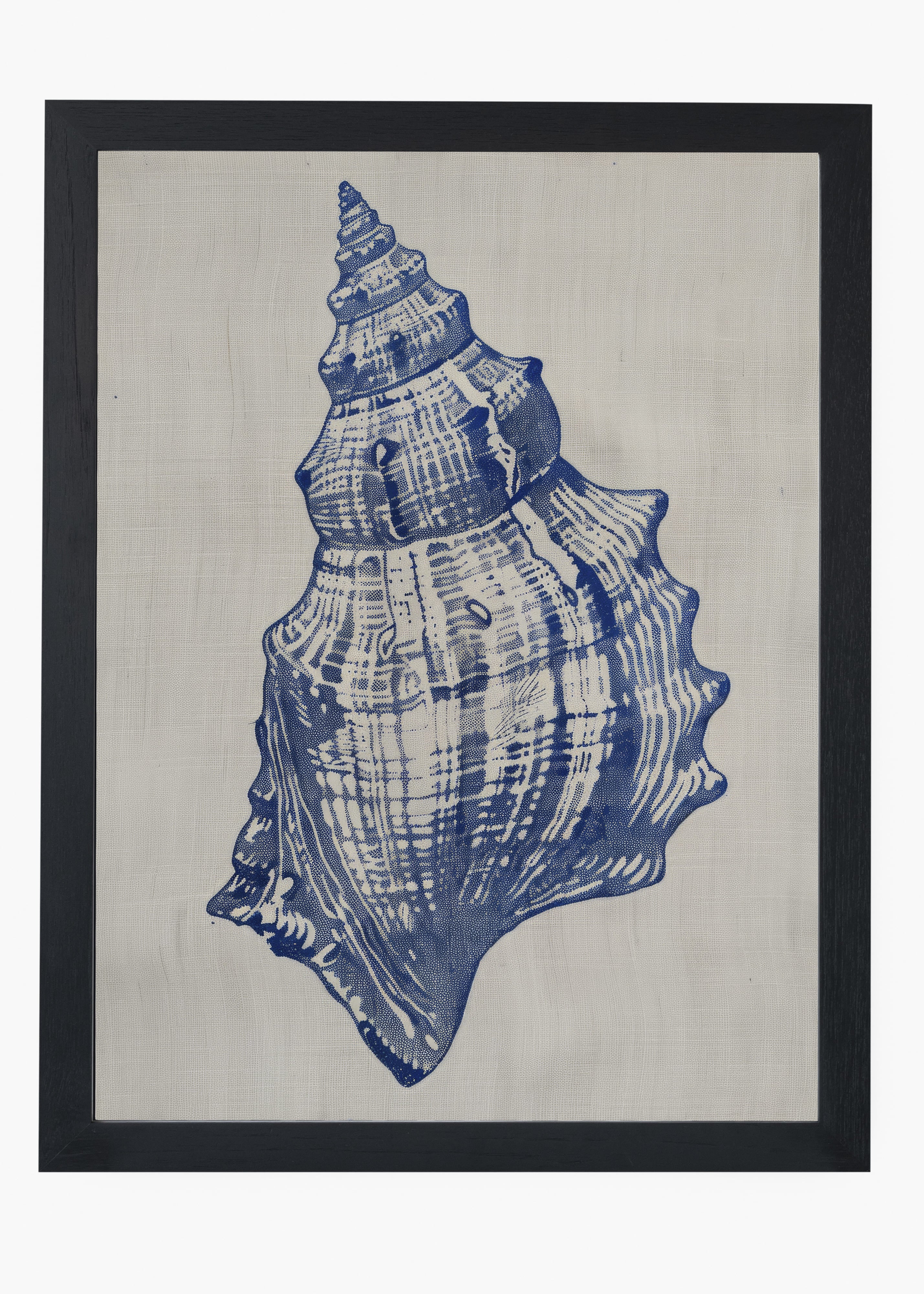Quadro Shells I