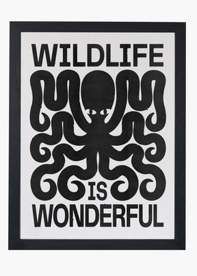 Quadro Confusing Wild