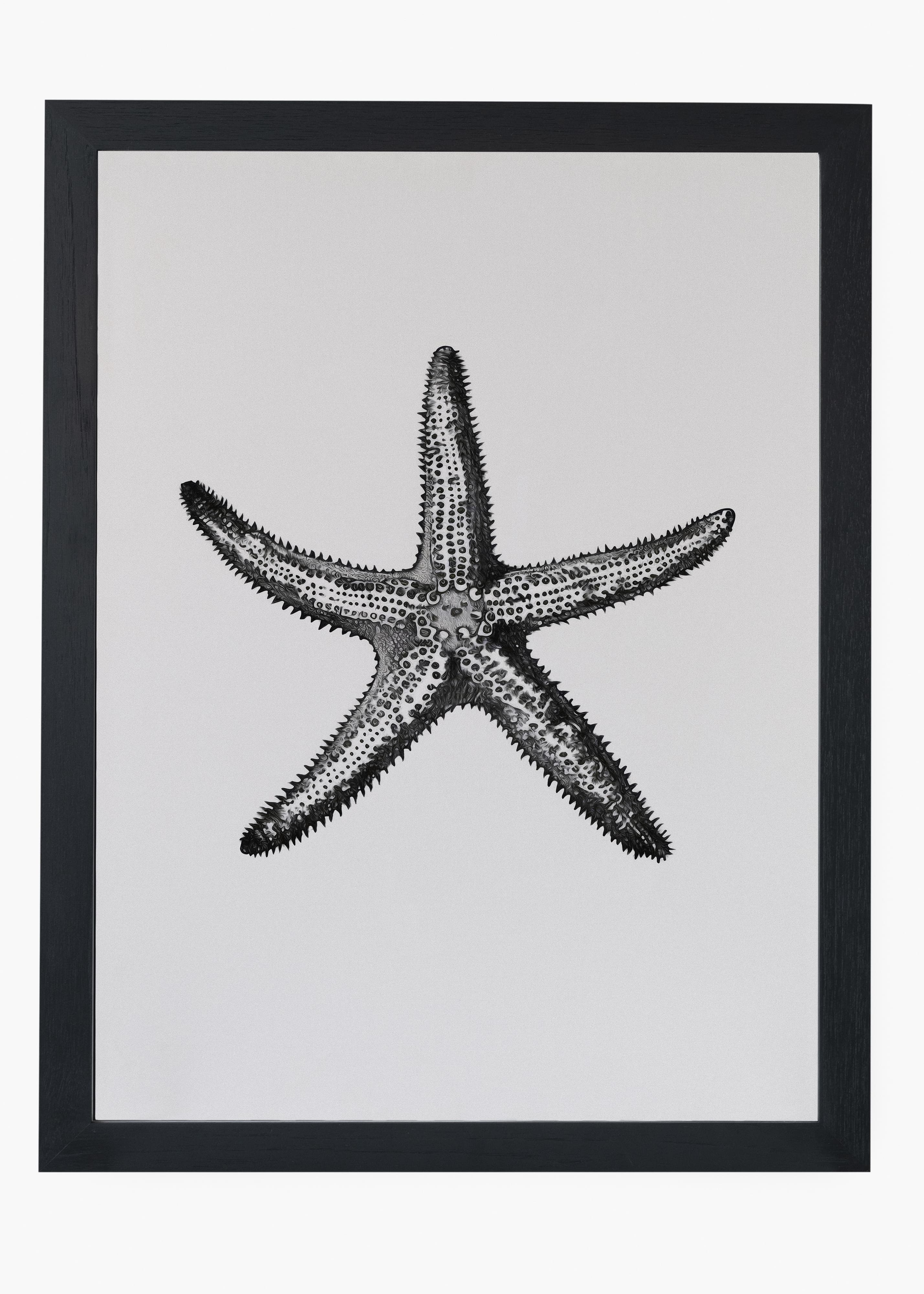 Quadro Starfish